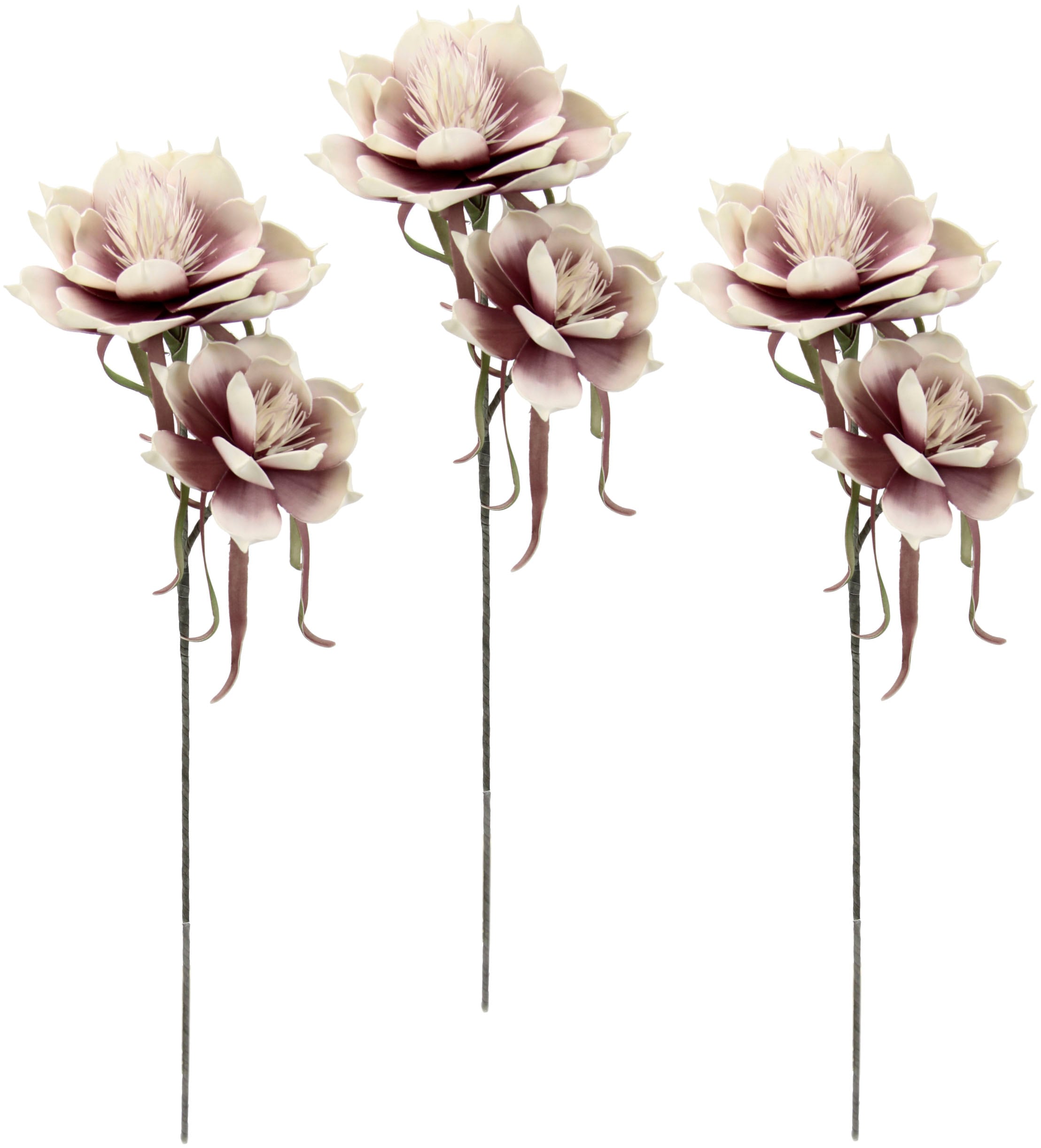 I.GE.A. 3er | bestellen Kunstblume Set BAUR »Soft-Magnolie«,