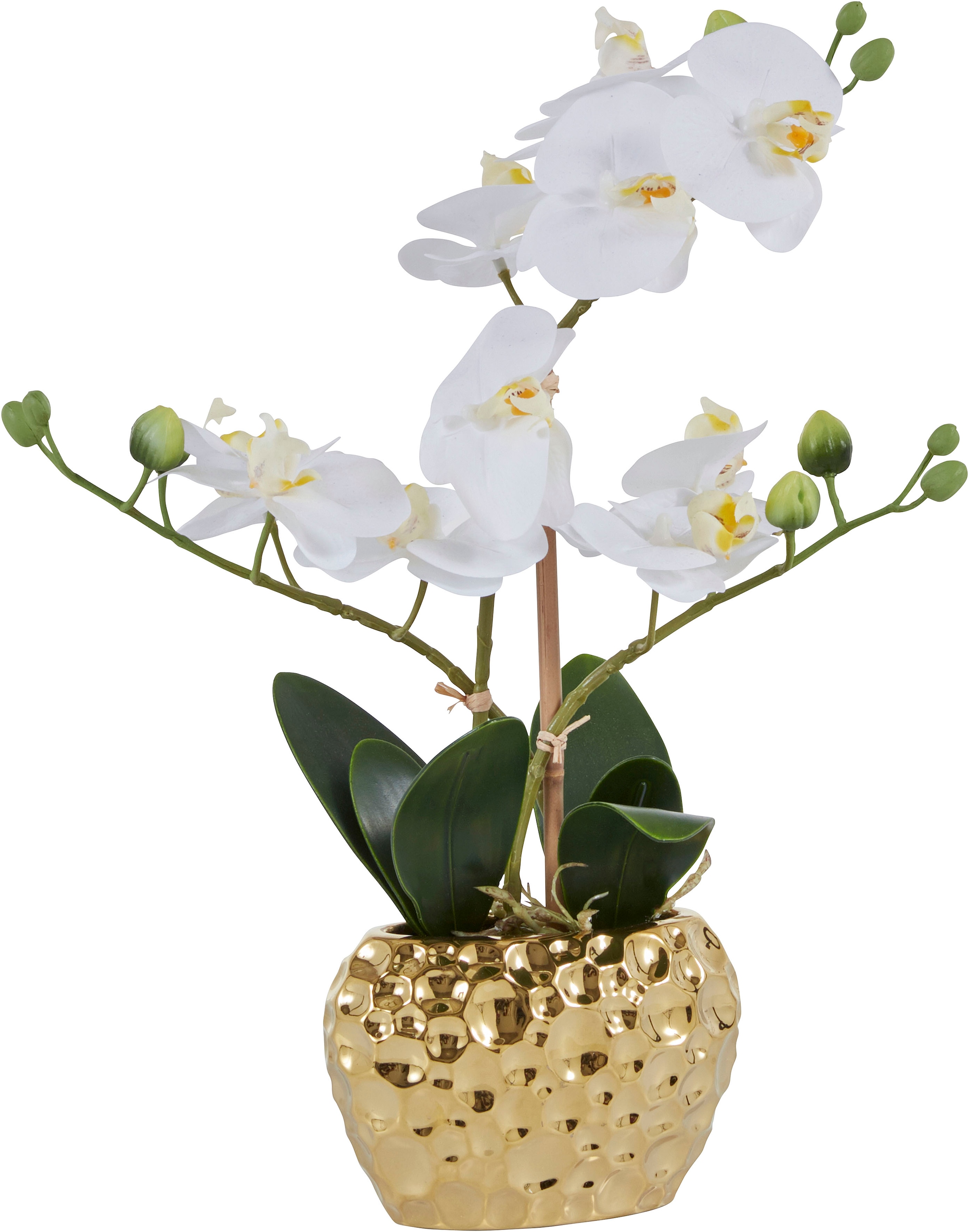 Leonique Kunstpflanze »Orchidee«, Kunstorchidee, im BAUR | bestellen Topf