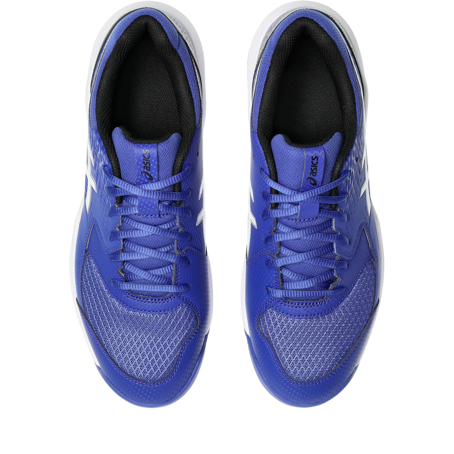 Asics Tennisschuh »GEL-DEDICATE 8 CLAY«, Sandplatzschuhe für Ascheplätze