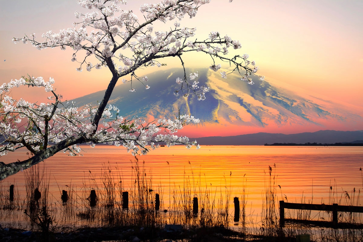 Fototapete PAPERMOON "See vor Mount Fuji", bunt, B:5m L:2,8m, Vlies, Tapeten - B/L: 5m x 2,8m, Bahnen: 10 Stk.