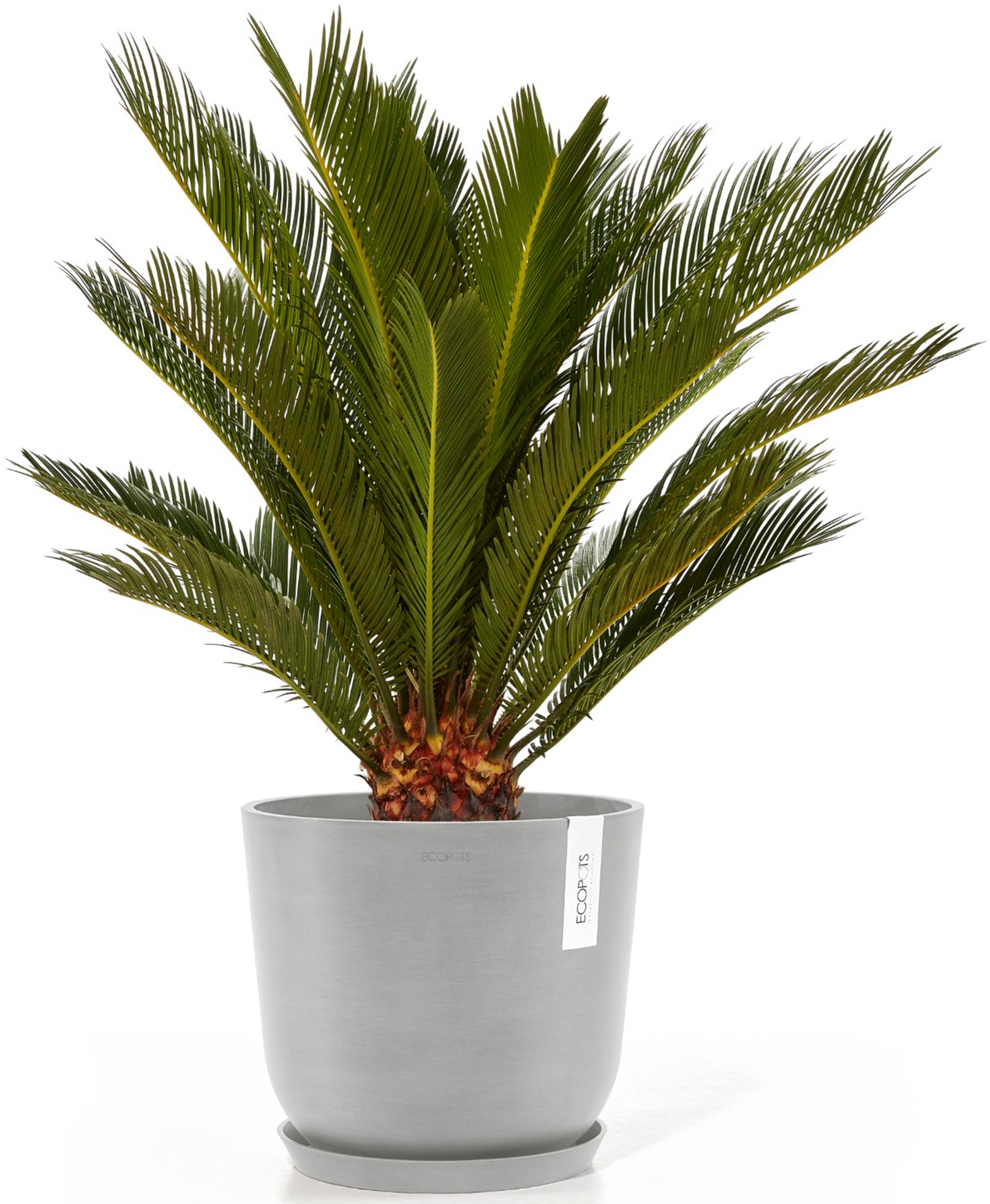ECOPOTS Blumentopf »Oslo 25 + Wassersystem Weißgrau«, für innen und außen: frostsicher, bruchsicher und lichtbeständig