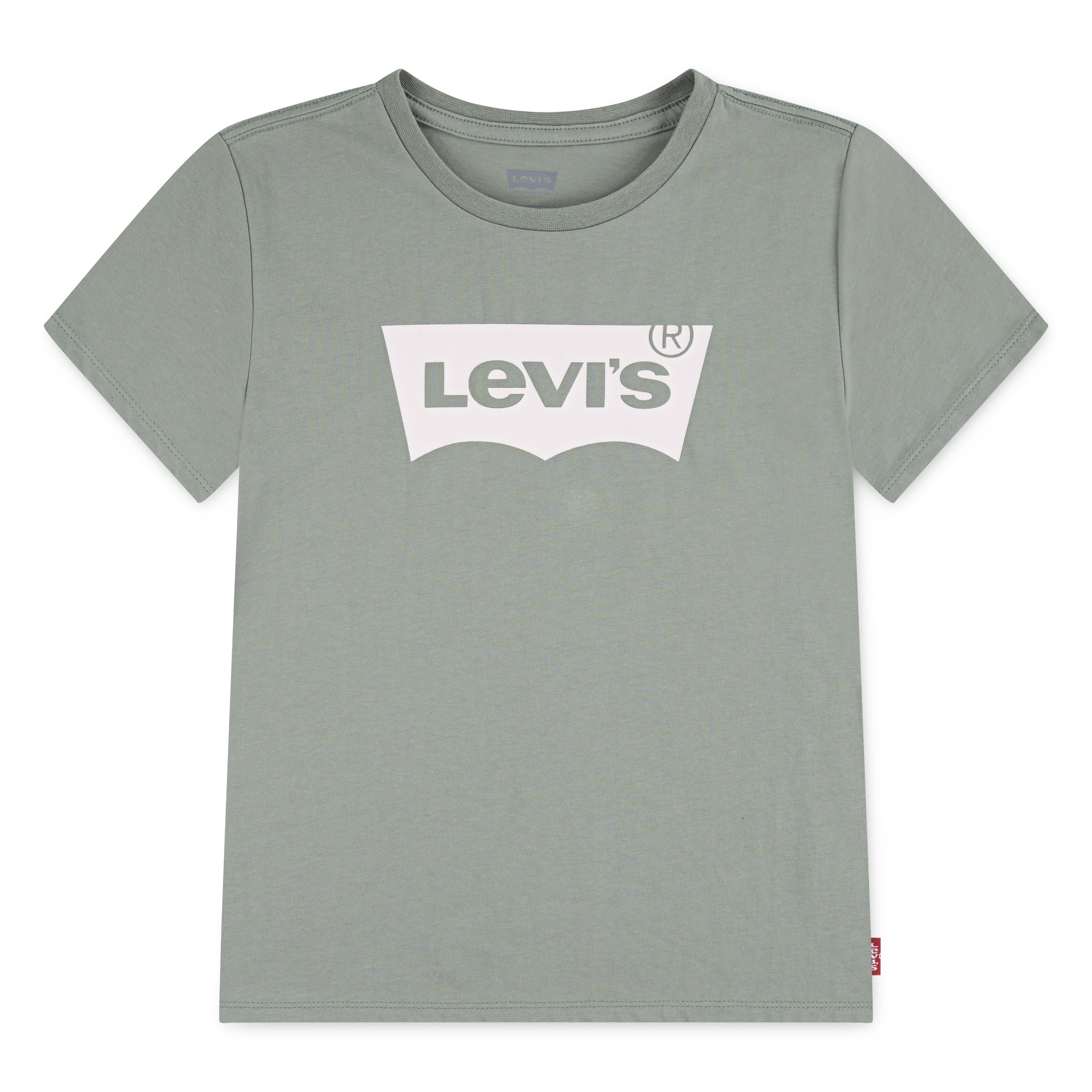 Levis Kids "LVG BATWING TEE" for GIRLS