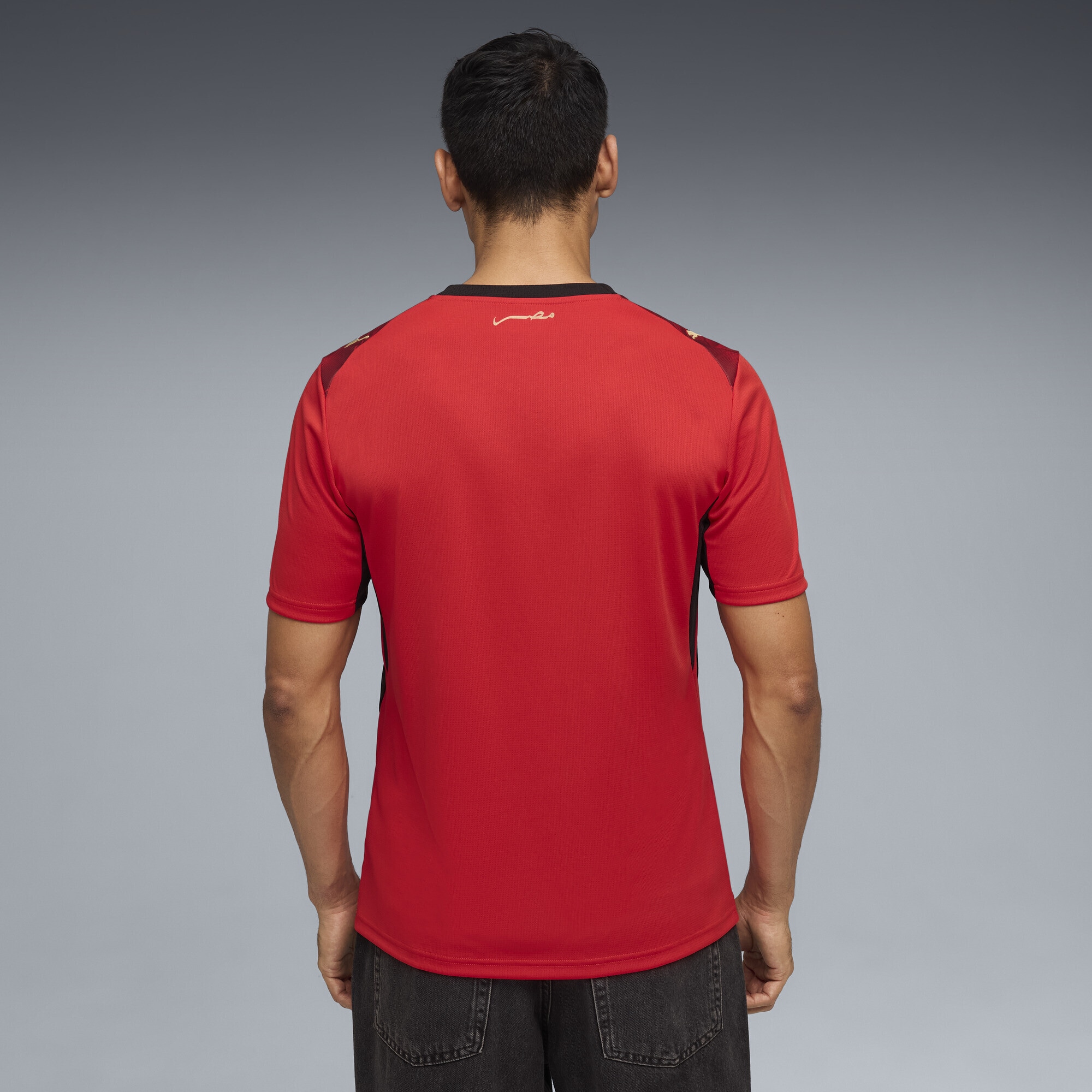 PUMA Trainingsshirt »Ägypten 2026 Heimtrikot Herren«