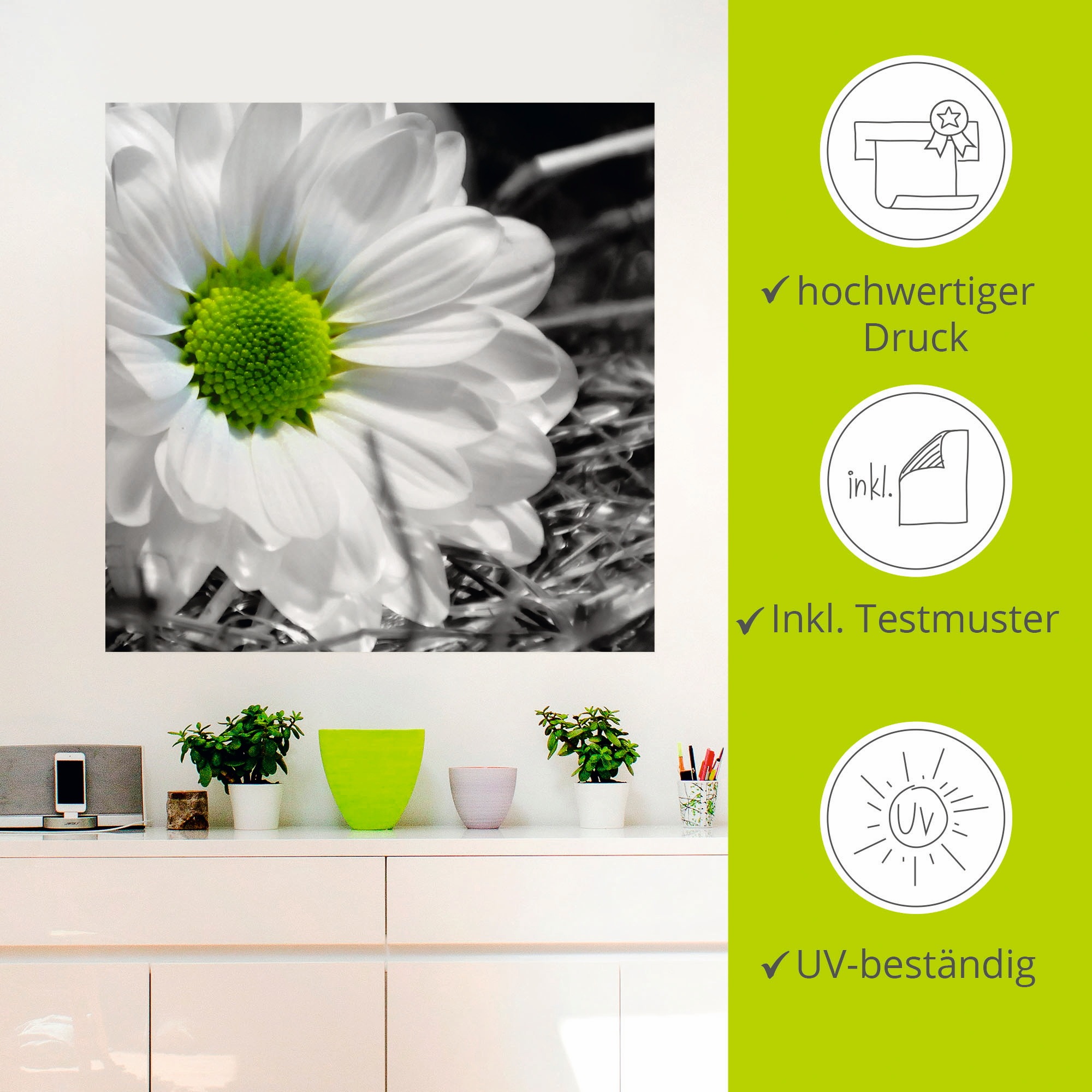 Artland Wandbild »Weiße Blume«, Blumen, (1 St.), als Leinwandbild, Wandaufkleber in verschied. Größen