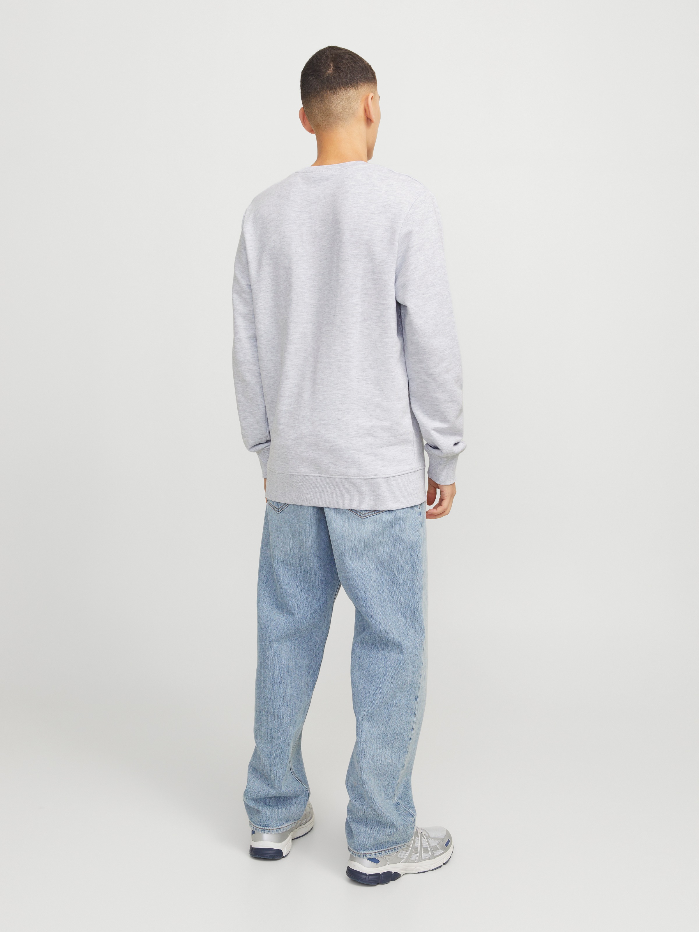 Jack & Jones Sweatshirt »JJHUDSON SWEAT CREW NECK«