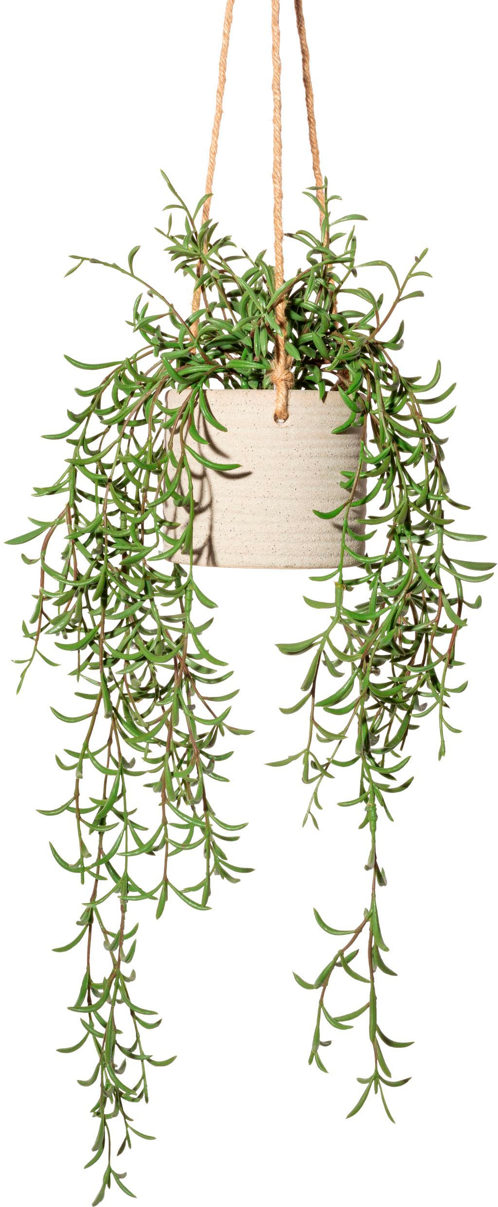 Creativ green Kunstranke »Hänger Nerifolia im Zementtopf«, (1 St.) kaufen