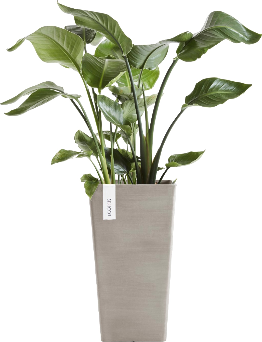 ECOPOTS Blumentopf »ROTTERDAM Taupe«, HIGH bestellen MID BxTxH: 31x31x56 | BAUR cm