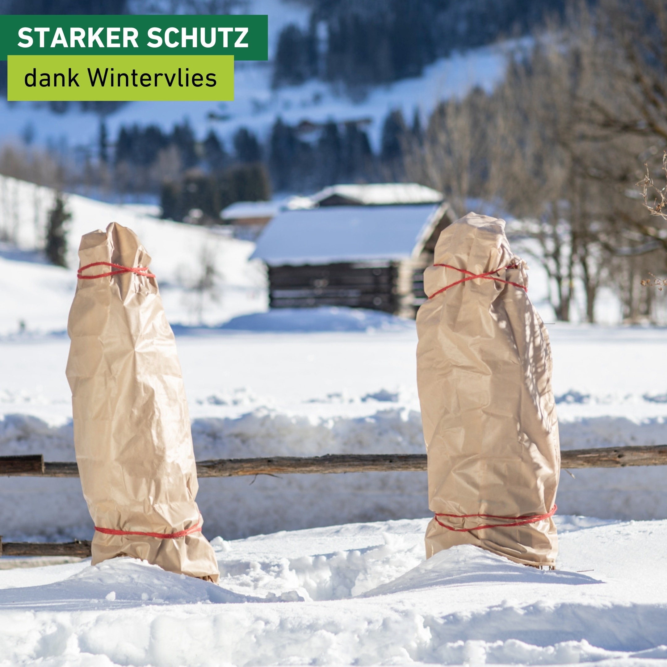 Windhager Winterschutzvlies »für Gartenpflanzen, Frostschutz und Kälteschutz« licht-, wasser- und luftdurchlässig, 5x1,5 m, Stärke 30 g/m2