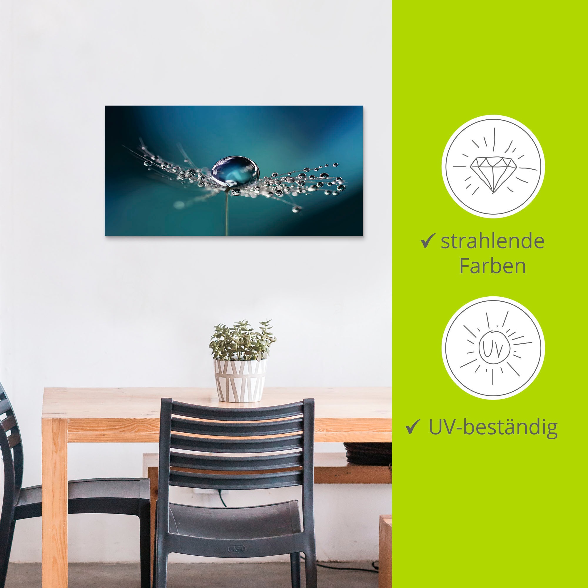 Artland Wandbild »Pusteblume Tautropfen blau«, Blumenbilder, (1 St.), als Alubild, Outdoorbild, Leinwandbild in verschied. Größen