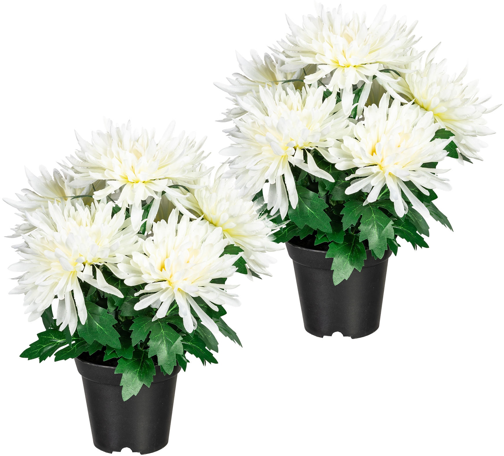 Home affaire Kunstpflanze »Igraine«, (2 St.), 2er Set kaufen
