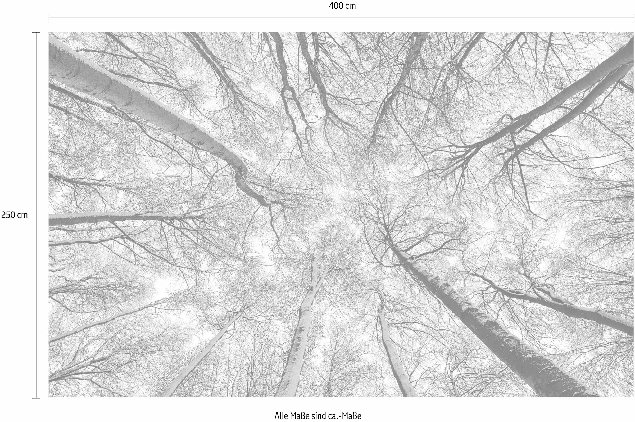 Komar Vliestapete »Digitaldruck Vlies - Up - Größe 400 x 250 cm«, bedruckt, Wohnzimmer, Schlafzimmer