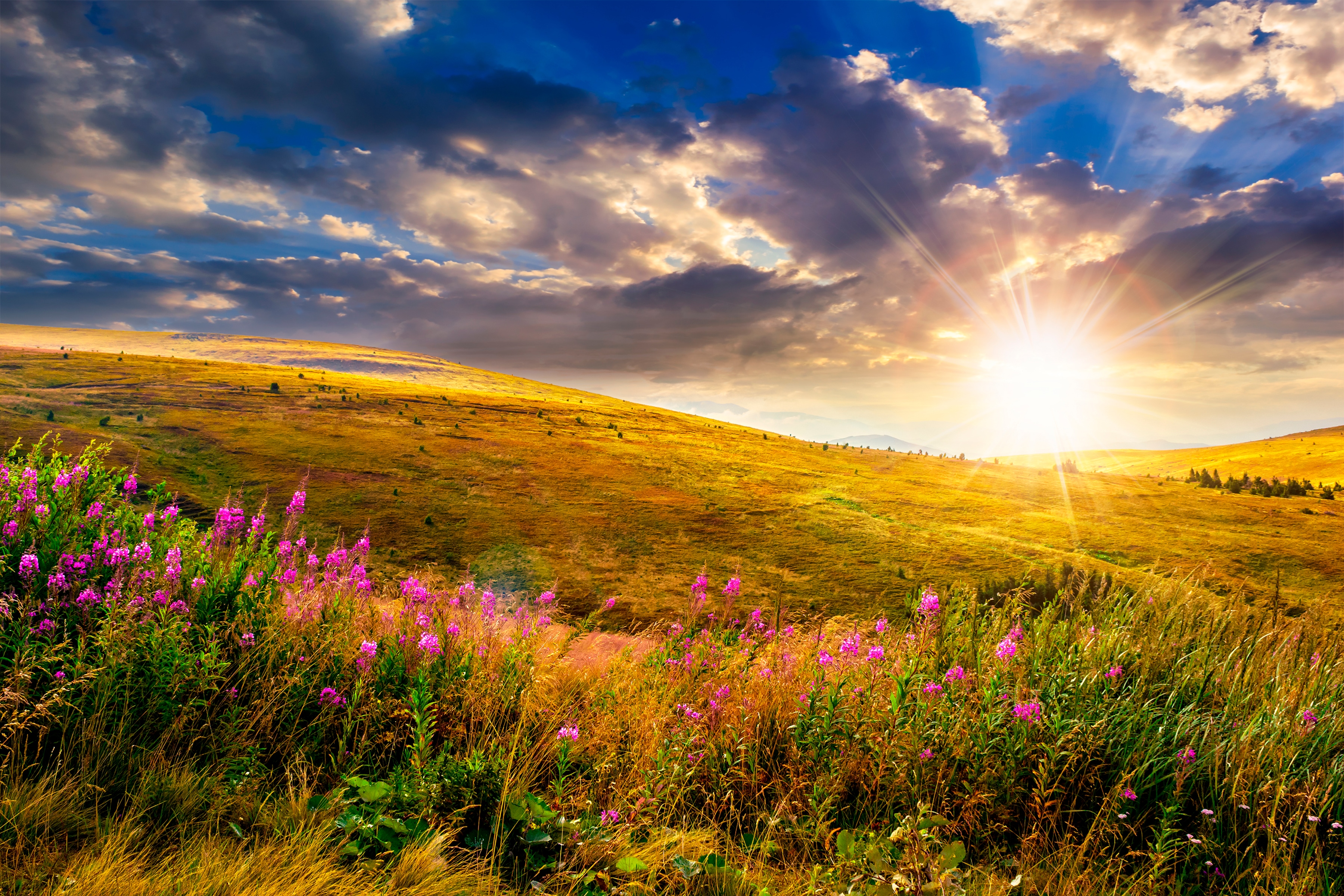 Papermoon Fototapete "Wild Flowers Mountain Sunset" glatt