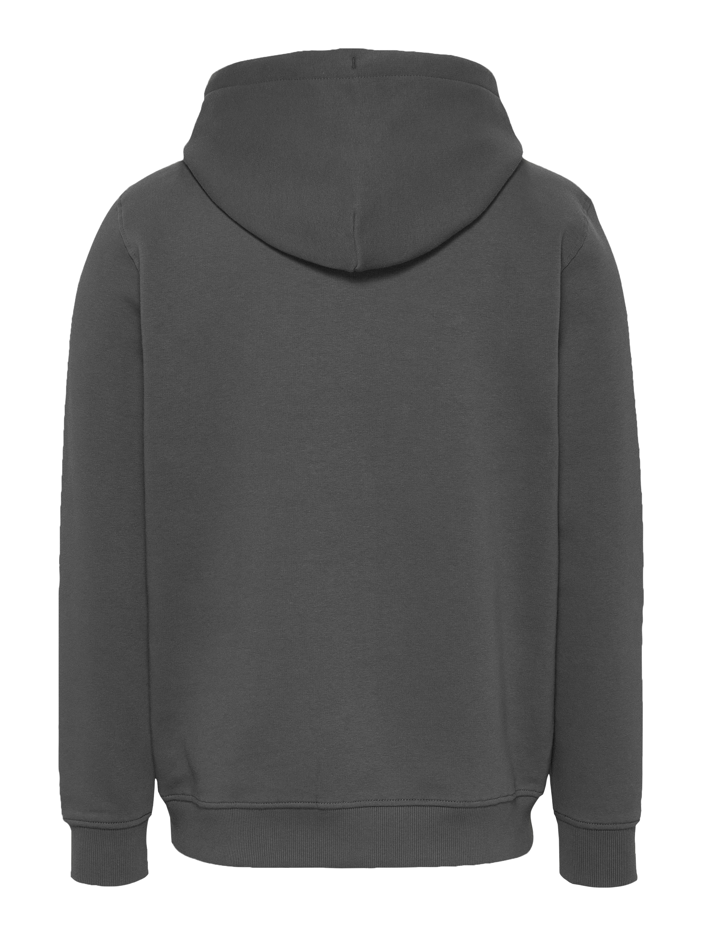 Tommy Jeans Plus Hoodie »TJM REG LINEAR LOGO HOODIE EXT«, in Große Größen, Logodruck