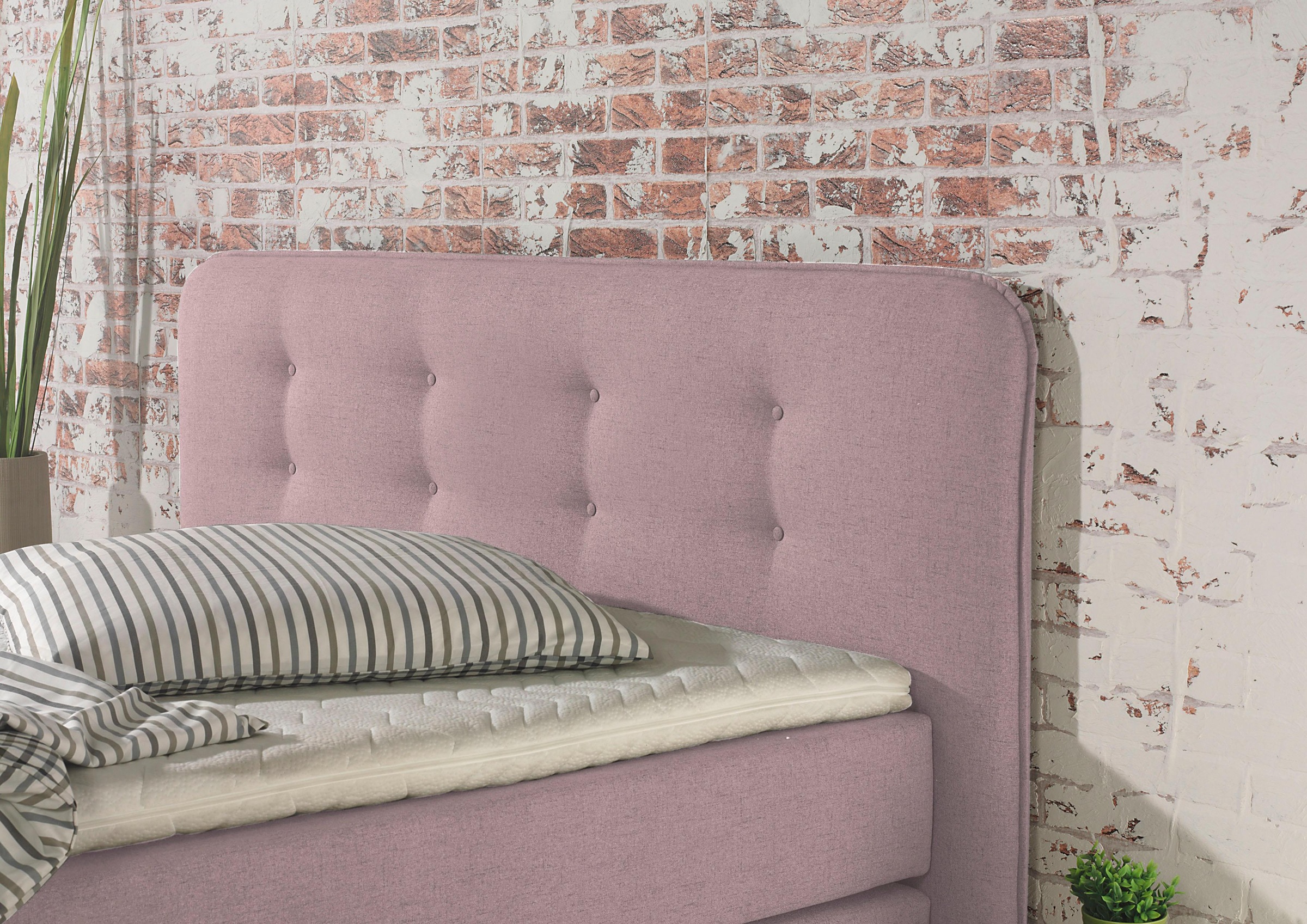 Home affaire Boxspringbett »Cecina« in 5 Breiten, 3 Ausführungen, 2 Härtegrade, Knopfheftung, Topper
