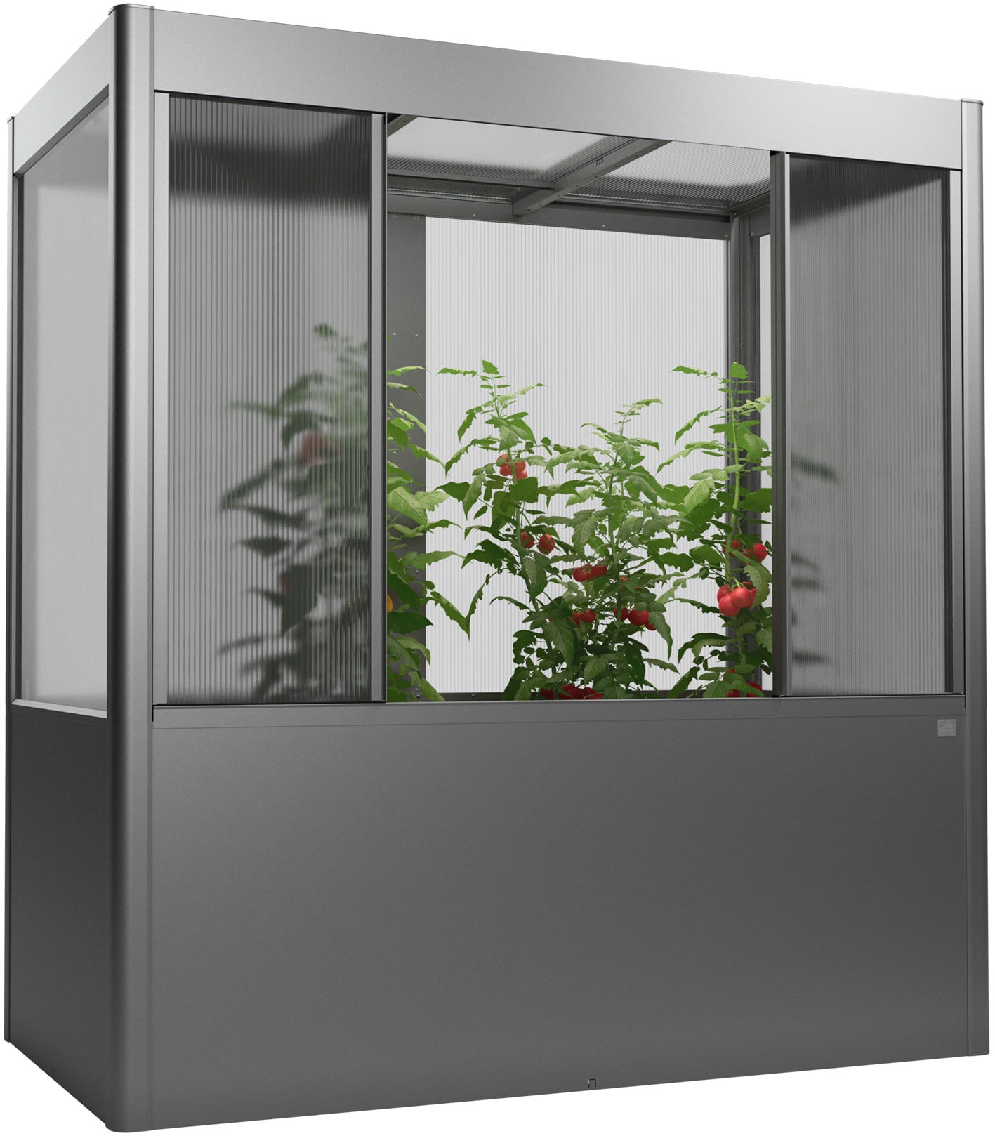 Gewächshaus BIOHORT, B:201,6cm H:213,4cm T:103,1cmquarzgrau, metallic, Gewächshäuser, "Florentina Gr. 2x1 MAXI, verschiedene Farben", Kompaktes