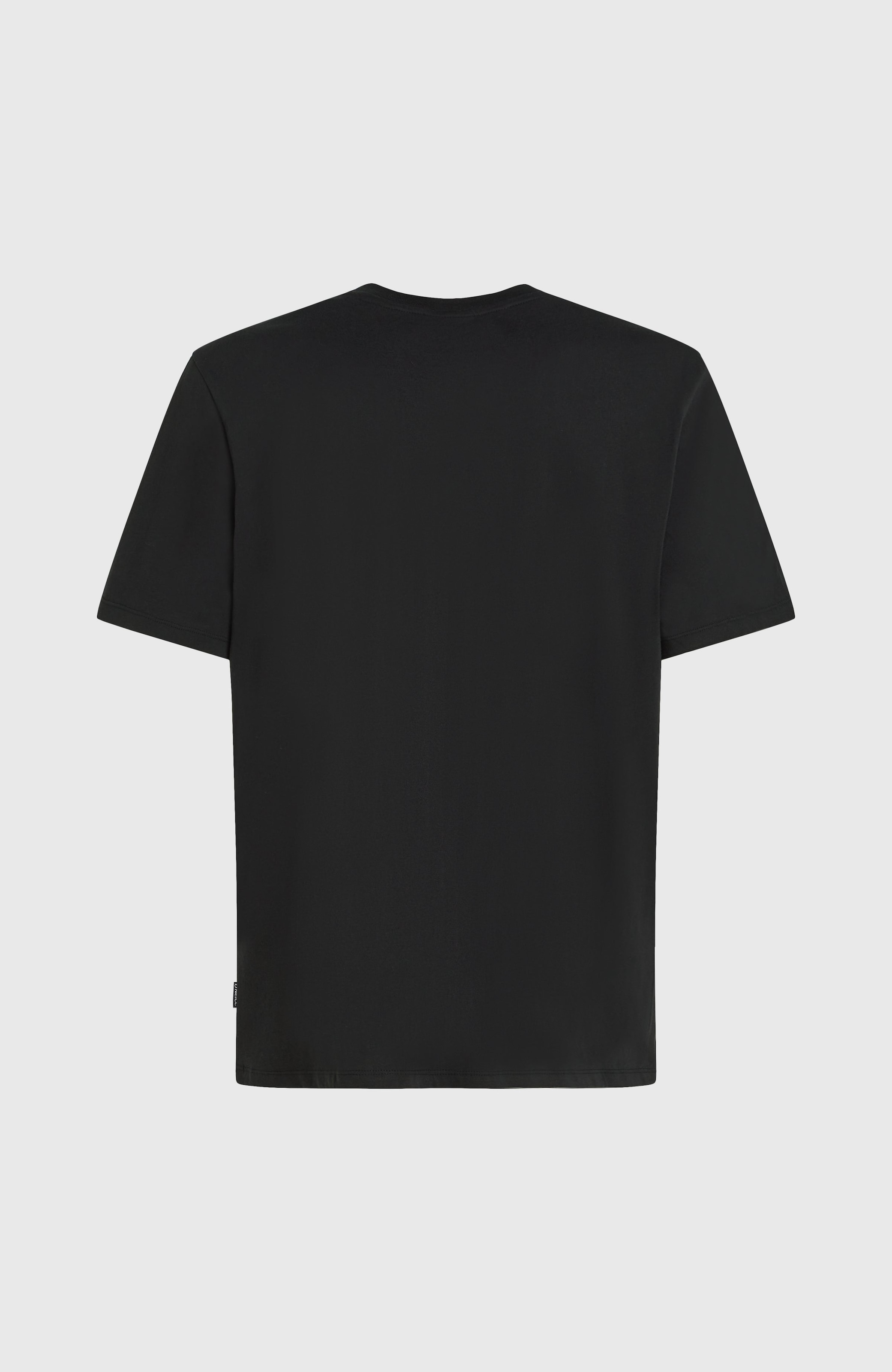 O'Neill T-Shirt »O'NEILL CHEST PRINT T-SHIRT«, (1 tlg.)
