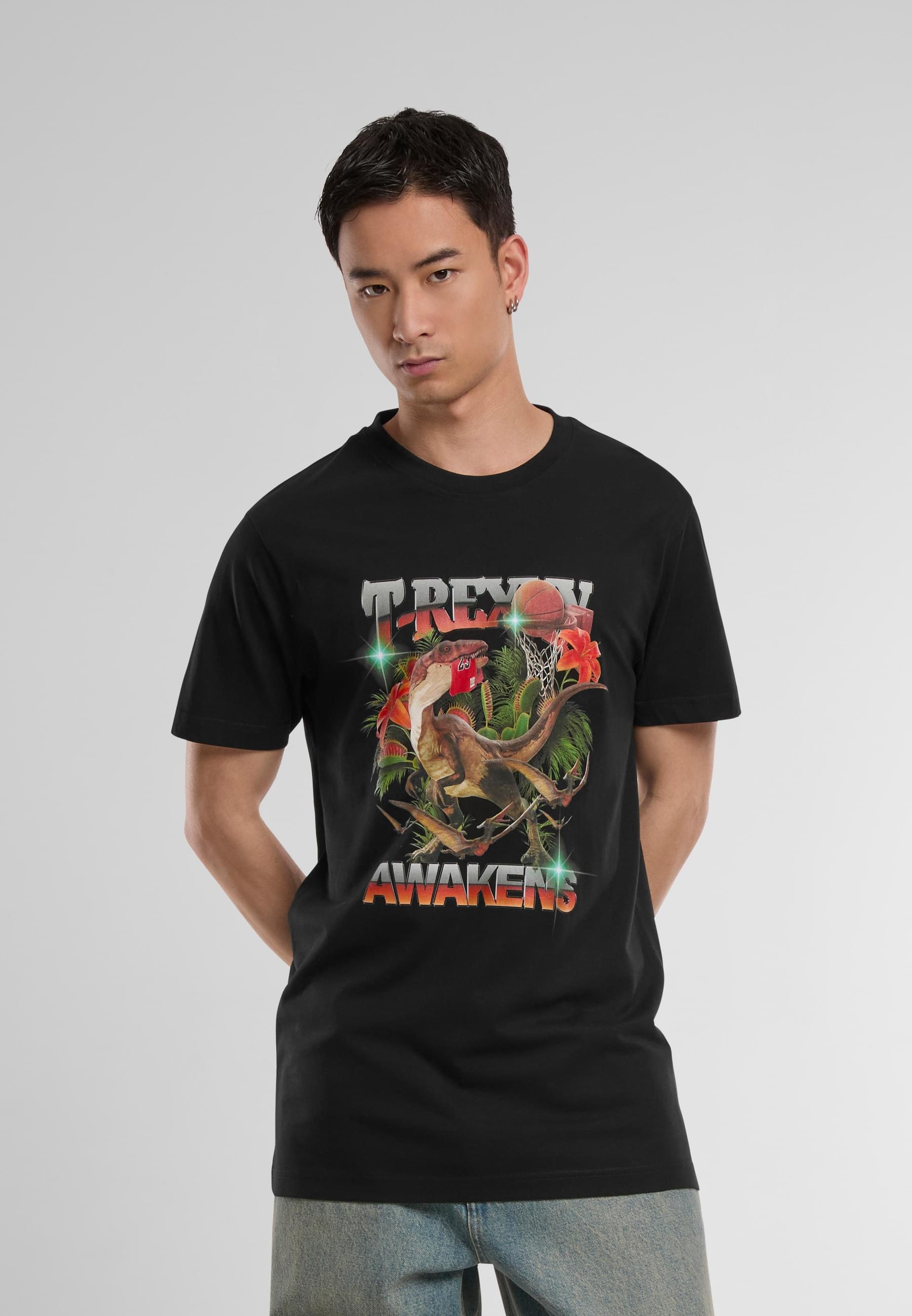 MisterTee T-Shirt »MisterTee Herren T Awakenes Tee«, (1 tlg.)
