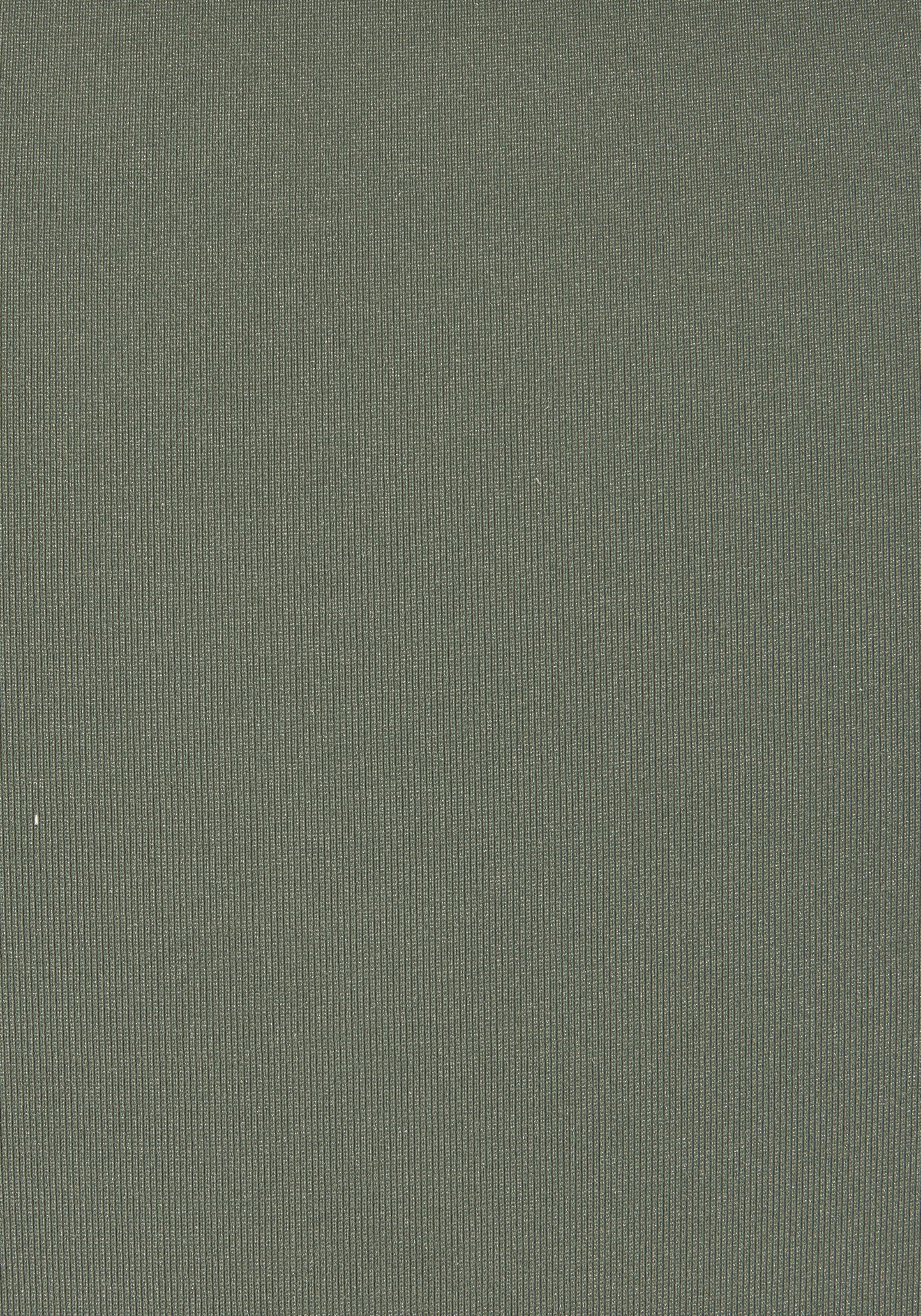 Bikini-Hose LASCANA "Italy", Damen, Gr. 40, N-Gr, grün (oliv), Microfaser, Microfaser, Polyamid, unifarben, Badehosen Bikini-Hose, in knapper Brasilien-Form 3