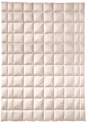 billerbeck Baumwollbettdecke »ZIRBERELLA® Cotton«...