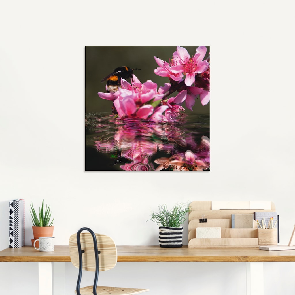 Artland Glasbild »Pfirsichblüte mit Hummel«, Blumen, (1 St.)