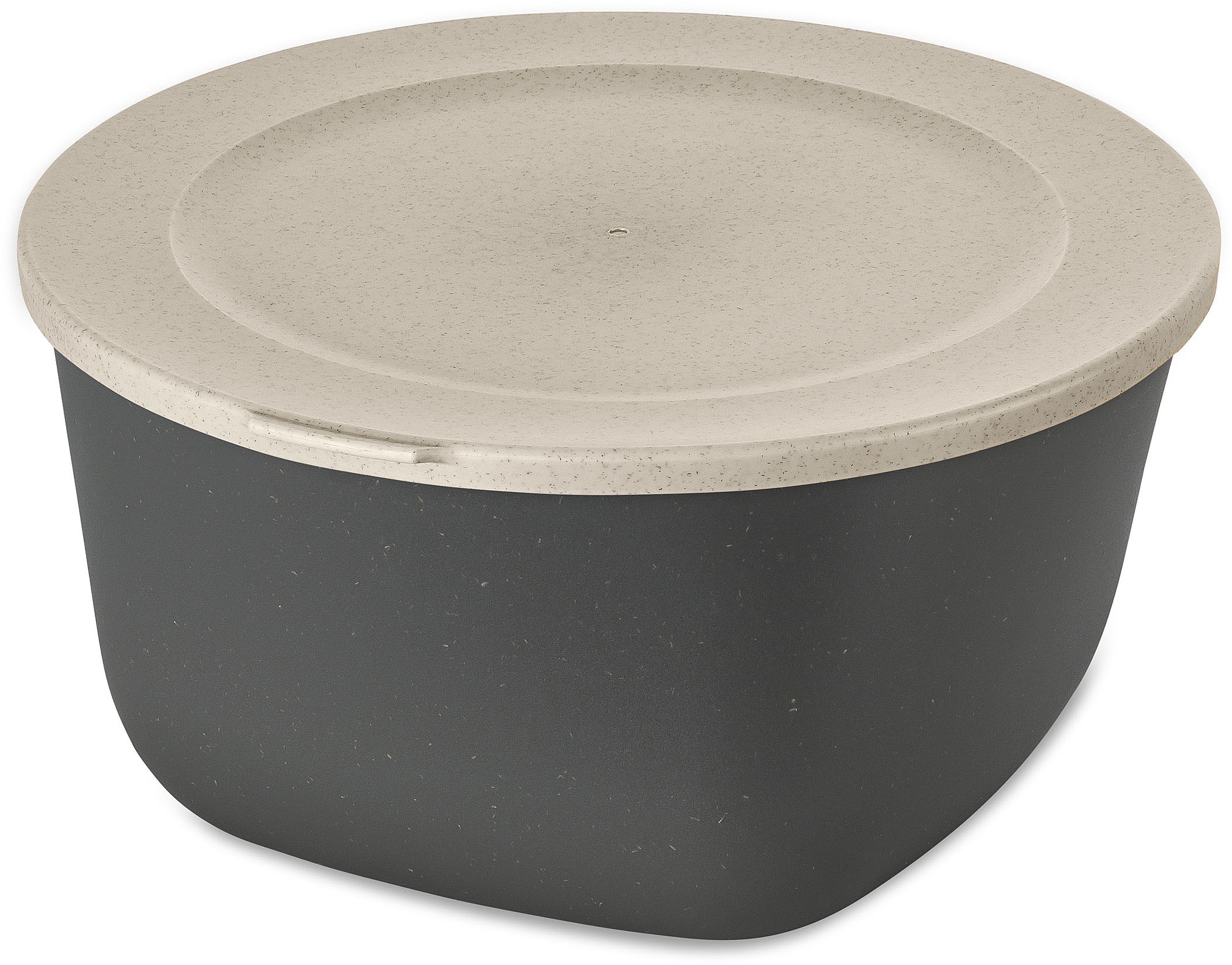 KOZIOL Frischhaltedose "CONNECT BOX 4" spülmaschinengeeignet,melaminfrei,recycelbar 4L