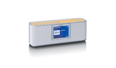 Digitalradio (DAB+) »PDR-046GY - DAB+/FM Radio«, (Digitalradio (DAB+)