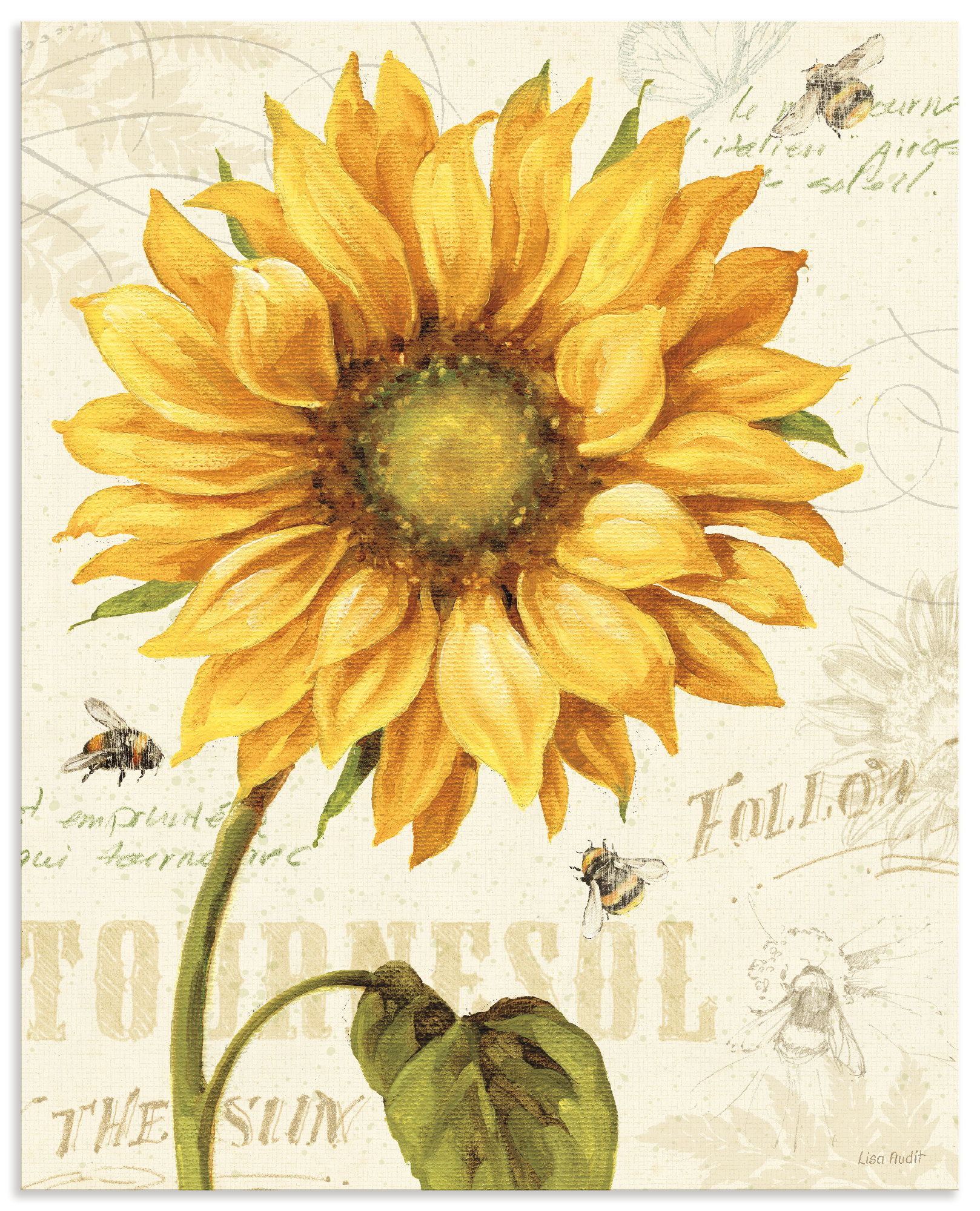 Artland Wandbild "Under the Sun I" Blumenbilder 1 Stk. tlg. als Alubild, Leinwandbild, Poster, Wandaufkleber in verschied. Größen