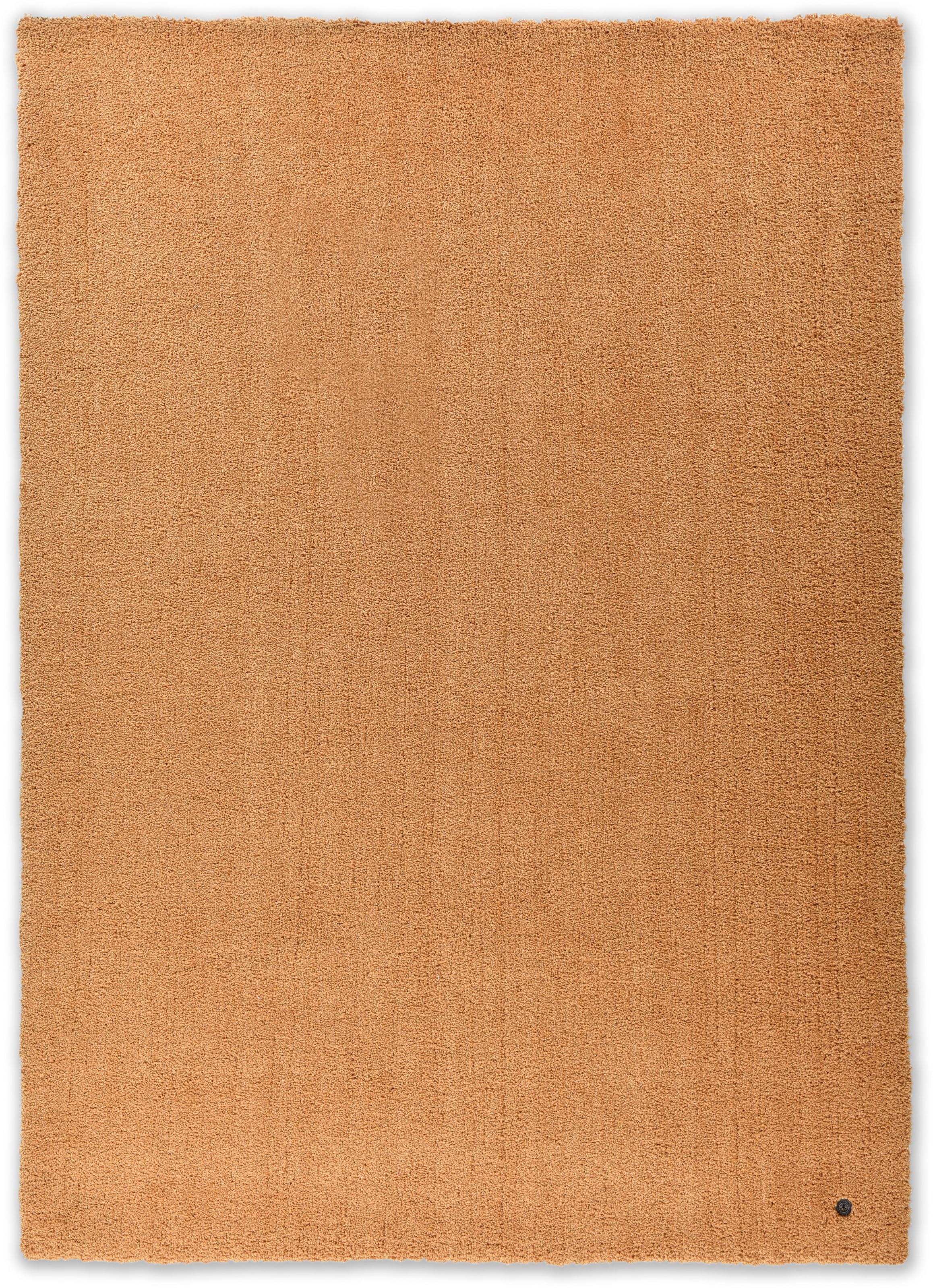 "Hochflor-Teppich TOM TAILOR HOME ""Shaggy Teppich Cozy"", gold (goldfarben), B:140cm H:25mm L:200cm, Polyester, Teppiche, Uni Farben, Pastell