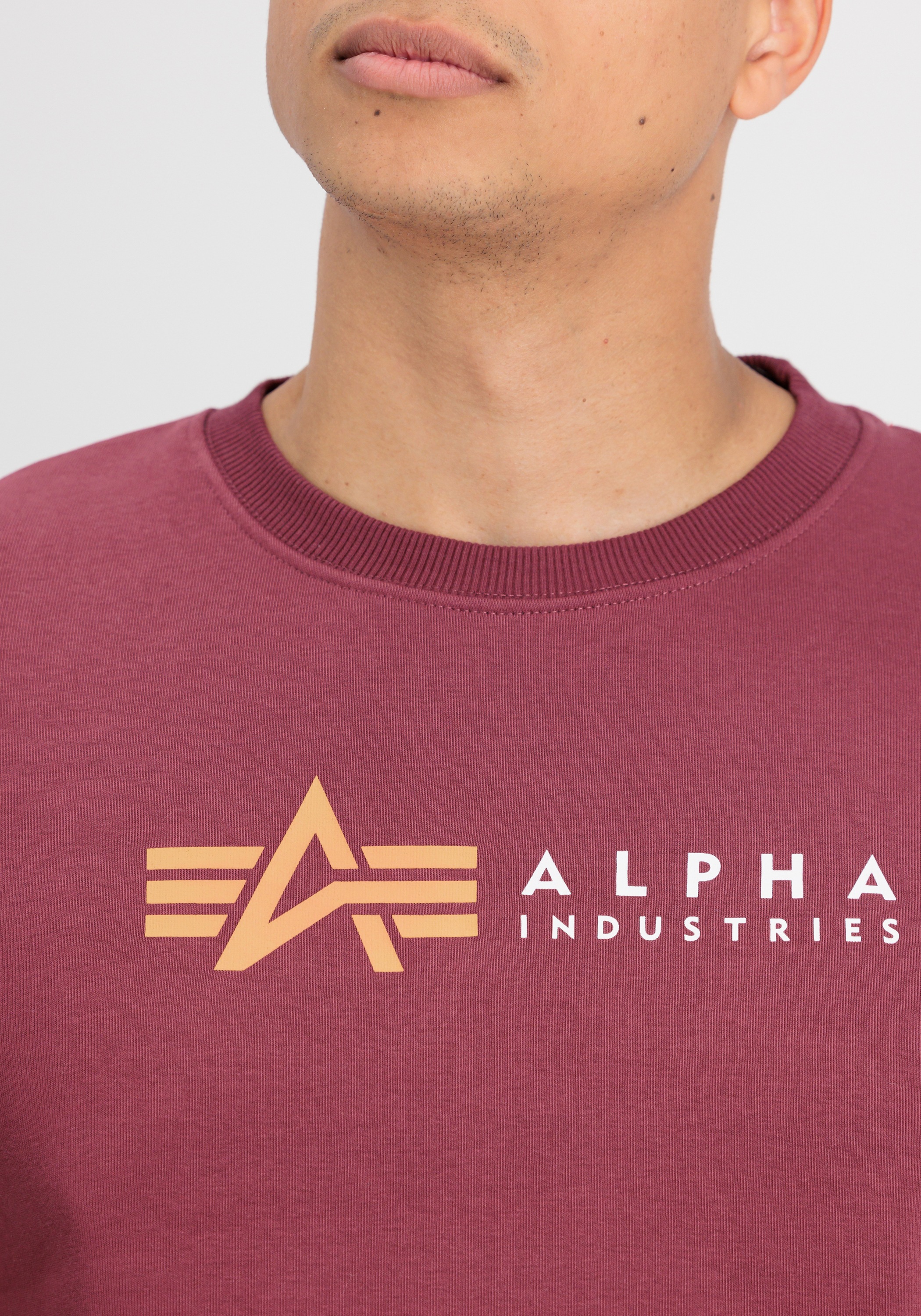 Alpha Industries Sweater »Alpha Industries Men - Sweatshirts Alpha Label Sweatshirt«