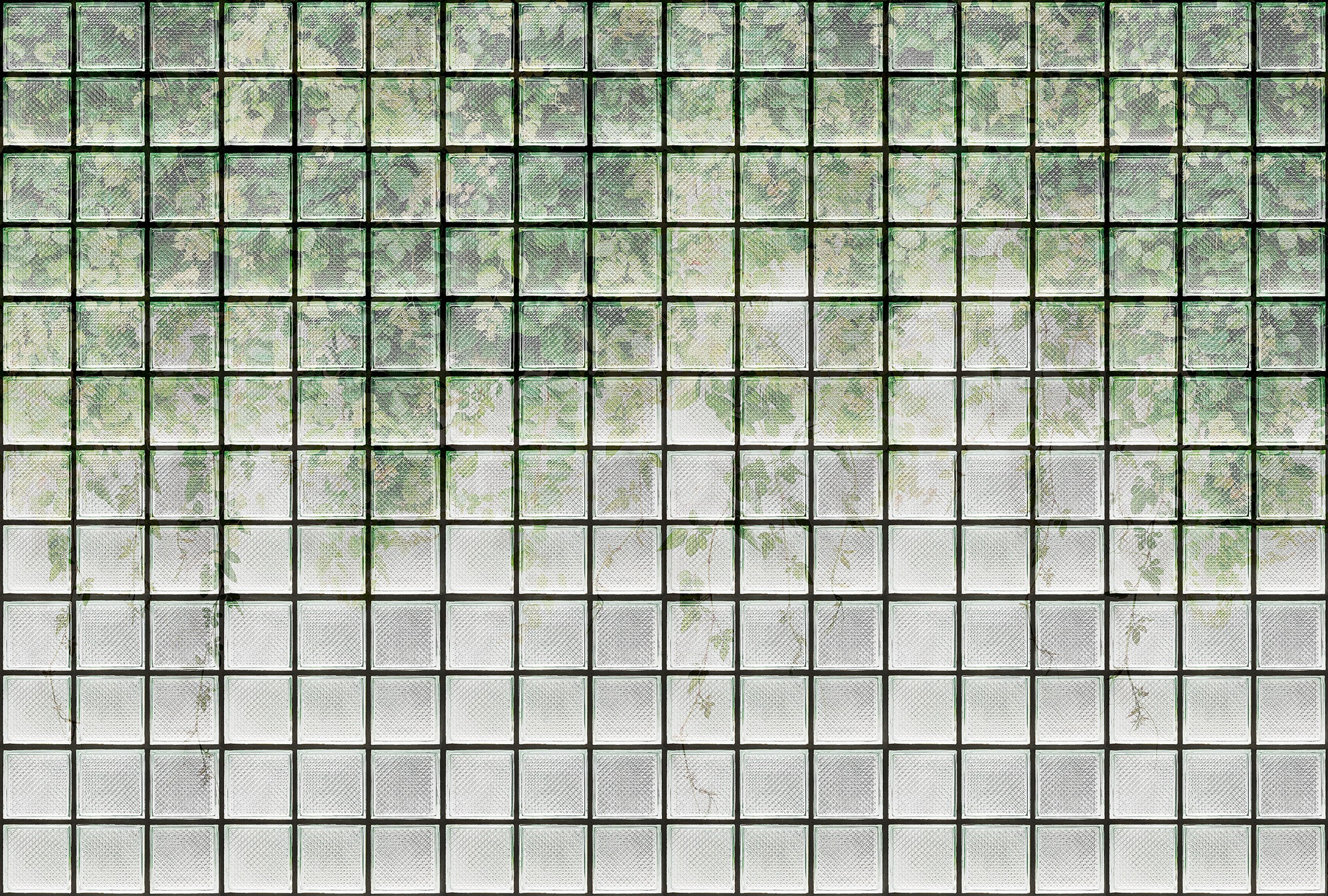 living walls Fototapete "Walls by Patel Greenhouse" glatt Vlies, Wand