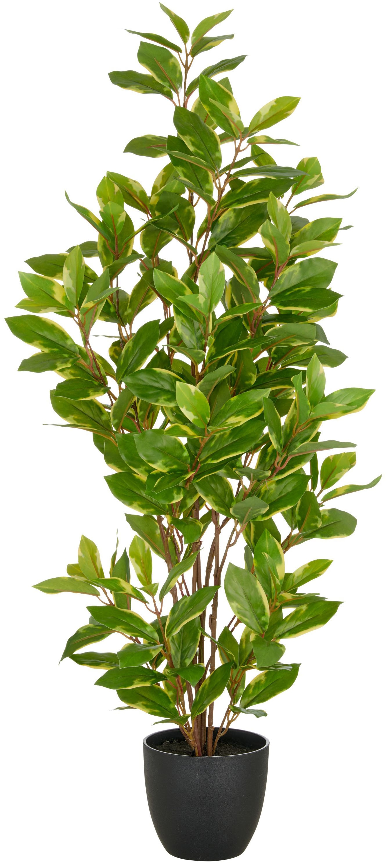 Creativ green Kunstpflanze "Epipremnum aureum", mit schönem Blattwerk günstig online kaufen
