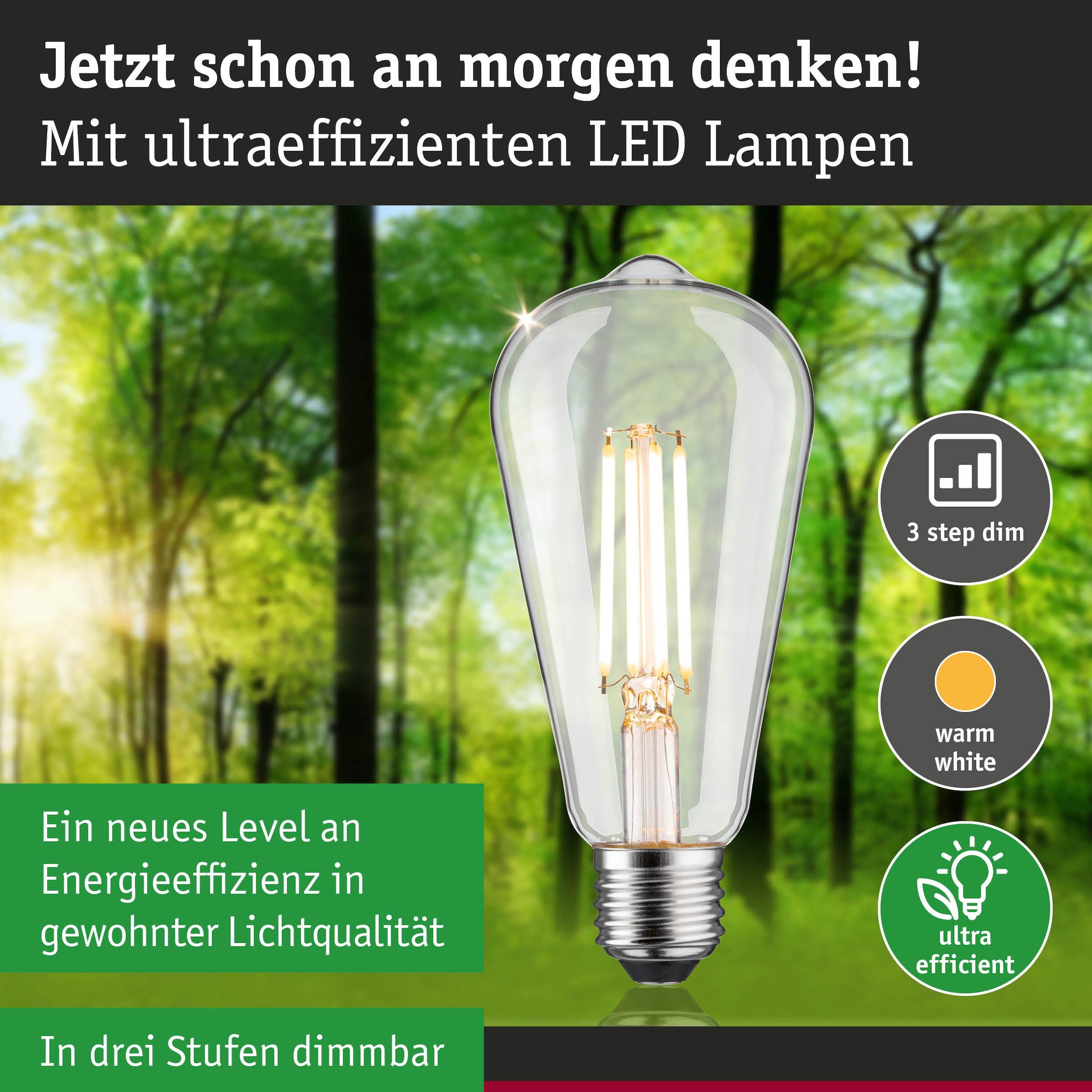 Paulmann LED-Leuchtmittel »Eco-Line ST64 806lm 4,3W 3000K klar 230V« E27 1 Stk. Warmweiß
