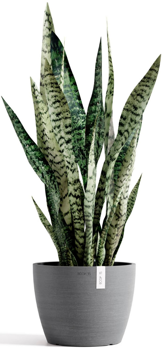 ECOPOTS Blumentopf »Stockholm 24 Grau« für innen und außen: frostsicher, bruchsicher und lichtbeständig