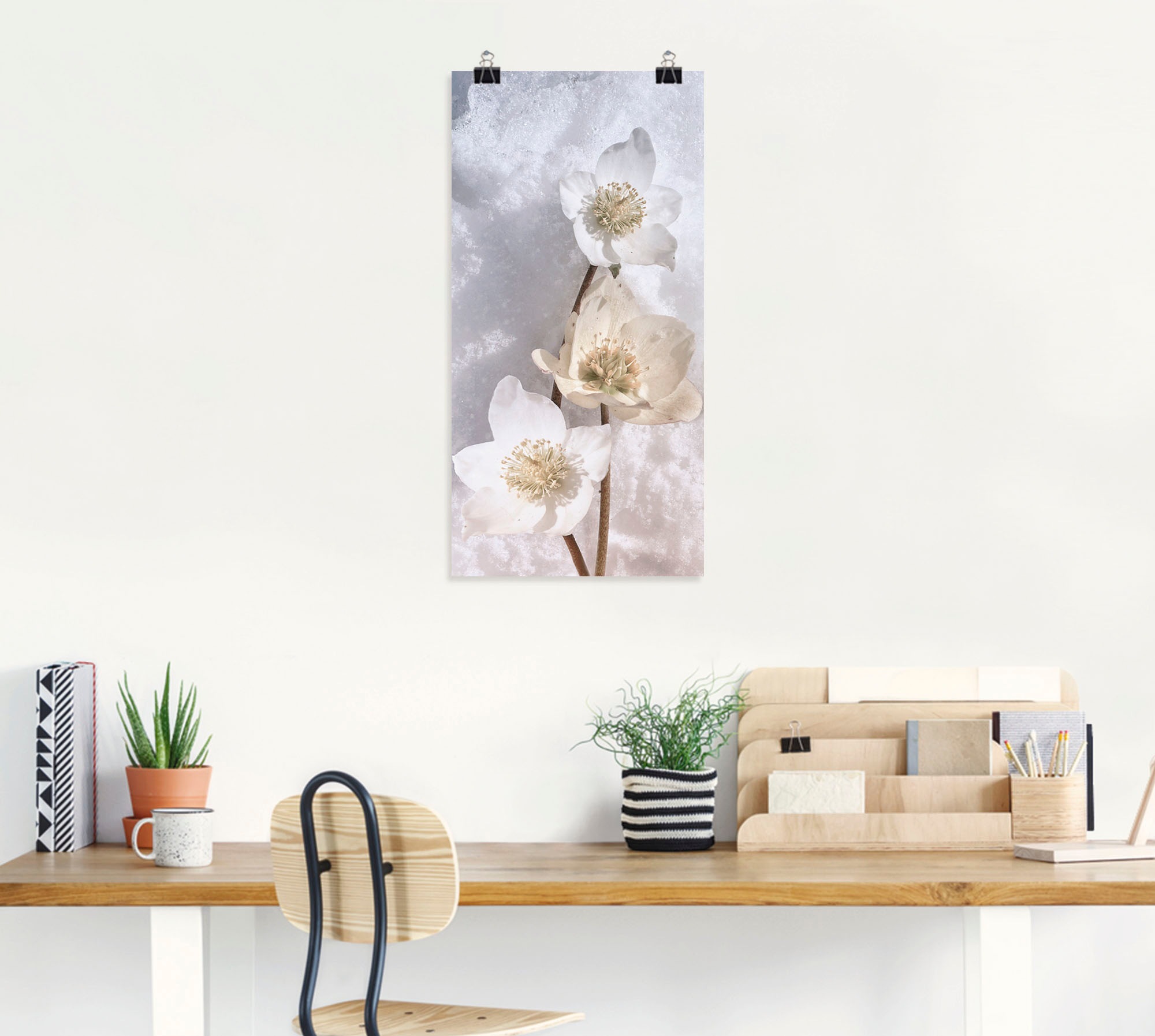 Artland Wandbild "Christrose im Schnee", Blumen, (1 St.), als Leinwandbild, günstig online kaufen