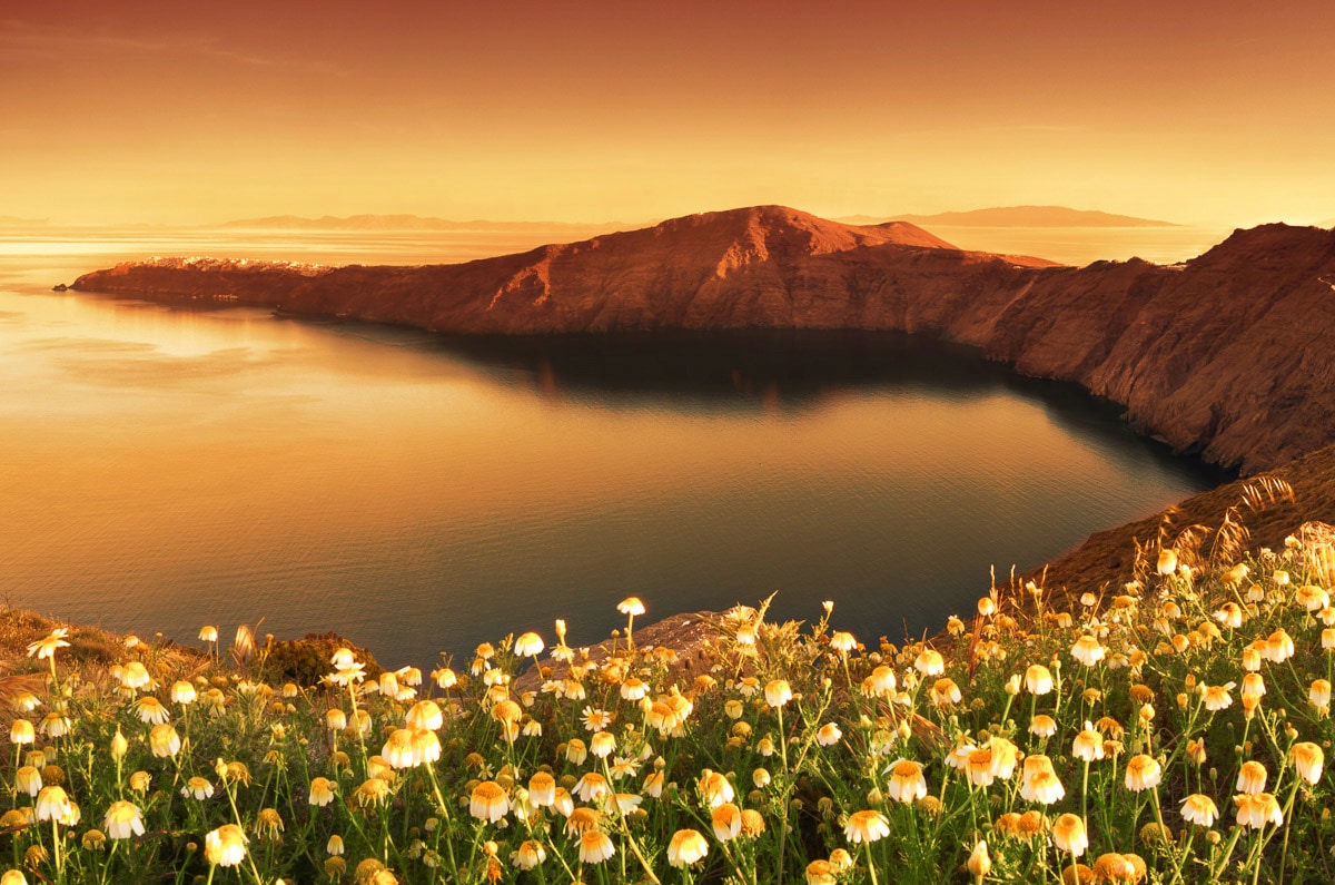 Papermoon Fototapete "Blumenwiese vor Bucht"