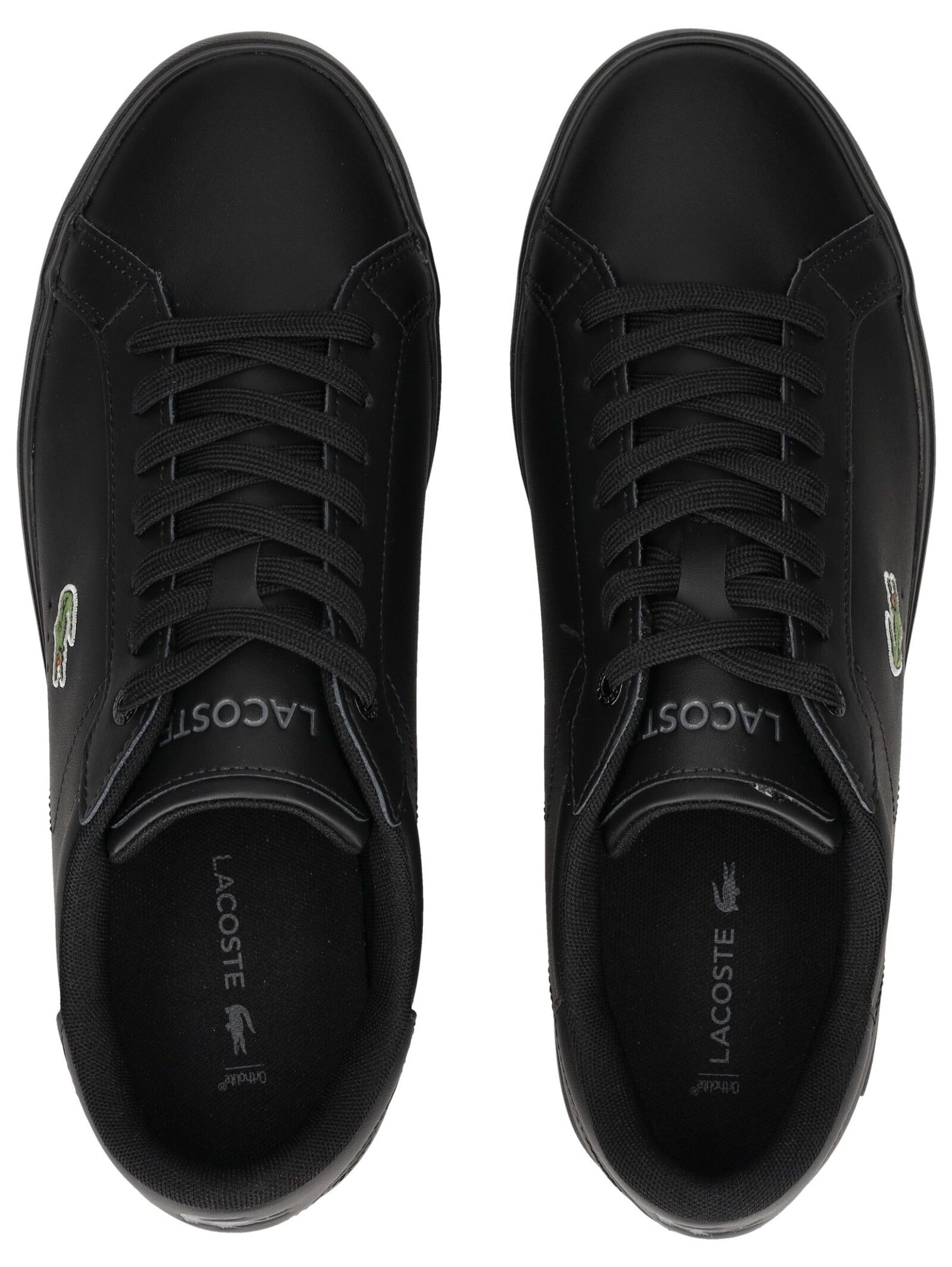 Lacoste Sneaker »lacoste Sneaker Leder«