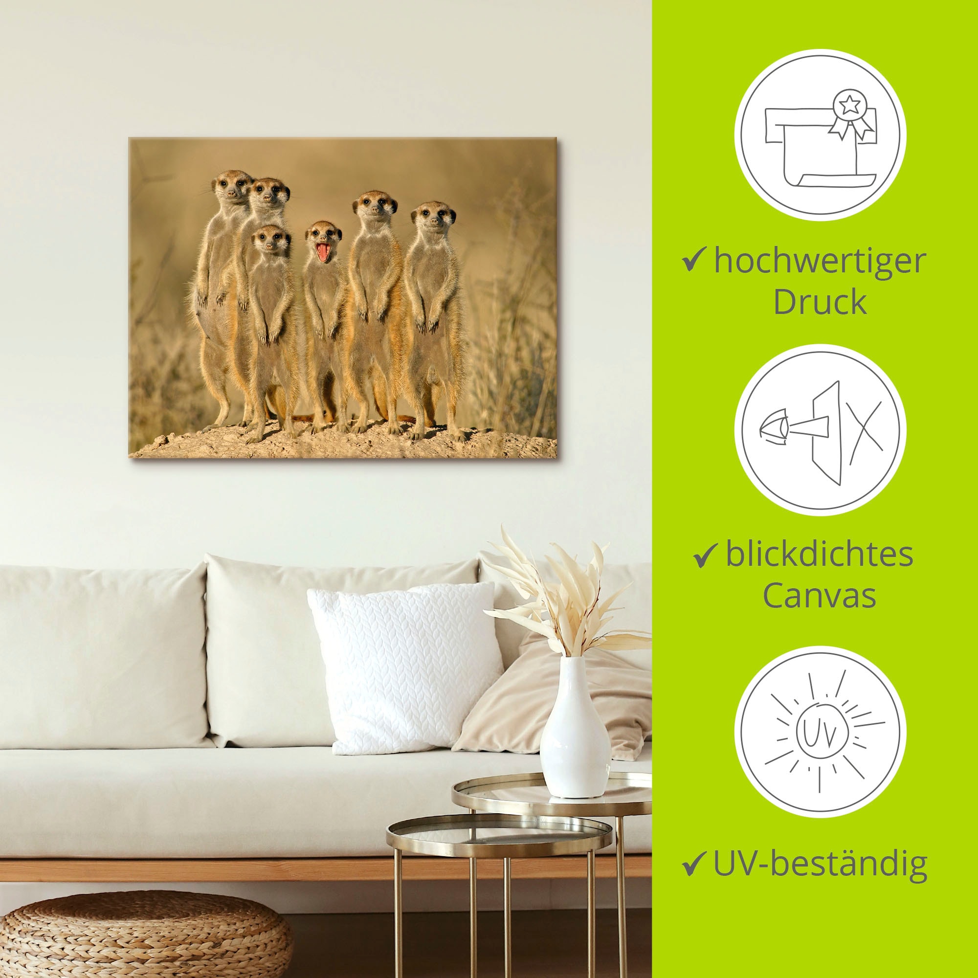 Artland Wandbild »Erdmännchen Familie«, Wildtiere, (1 St.), als Alubild, Outdoorbild, Leinwandbild, Poster, Wandaufkleber