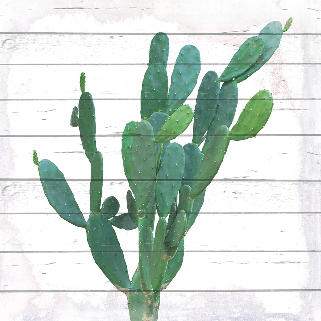 queence Holzbild »Kaktus«