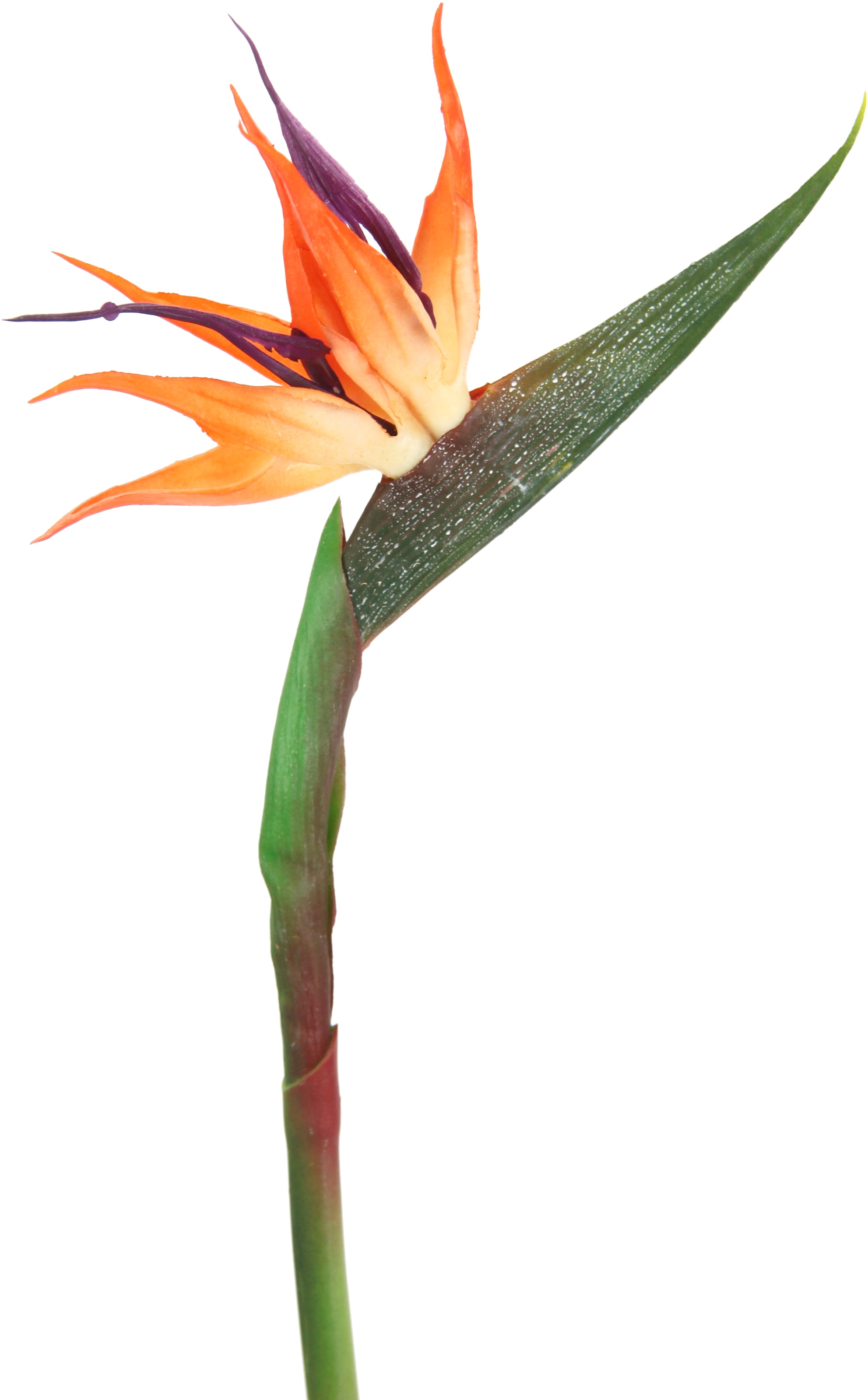 I.GE.A. Kunstblume »Künstliche Blume Strelitzie Paradiesvogelblume  Exotischer Dekozweig«, Zweig Einzelblume Dekoblume Stielblume Hochzeit  Dekoration kaufen | BAUR