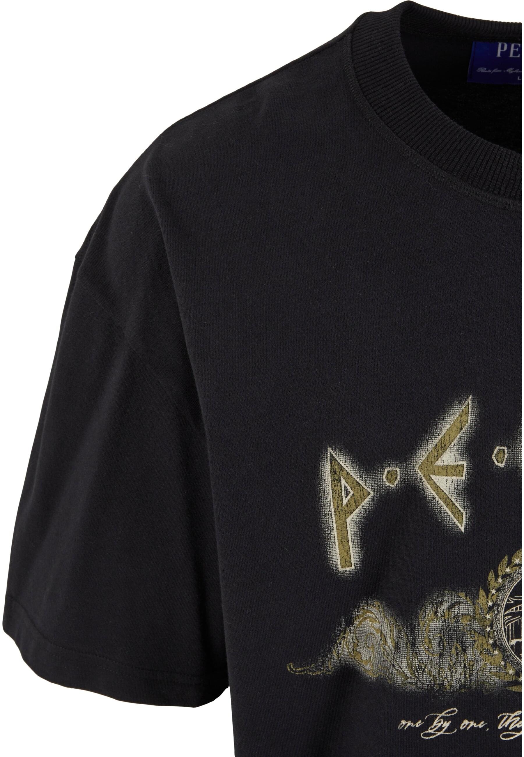 PEQUS T-Shirt »PEQUS PEQUS Ancient Painting T-Shirt«, (1 tlg.)