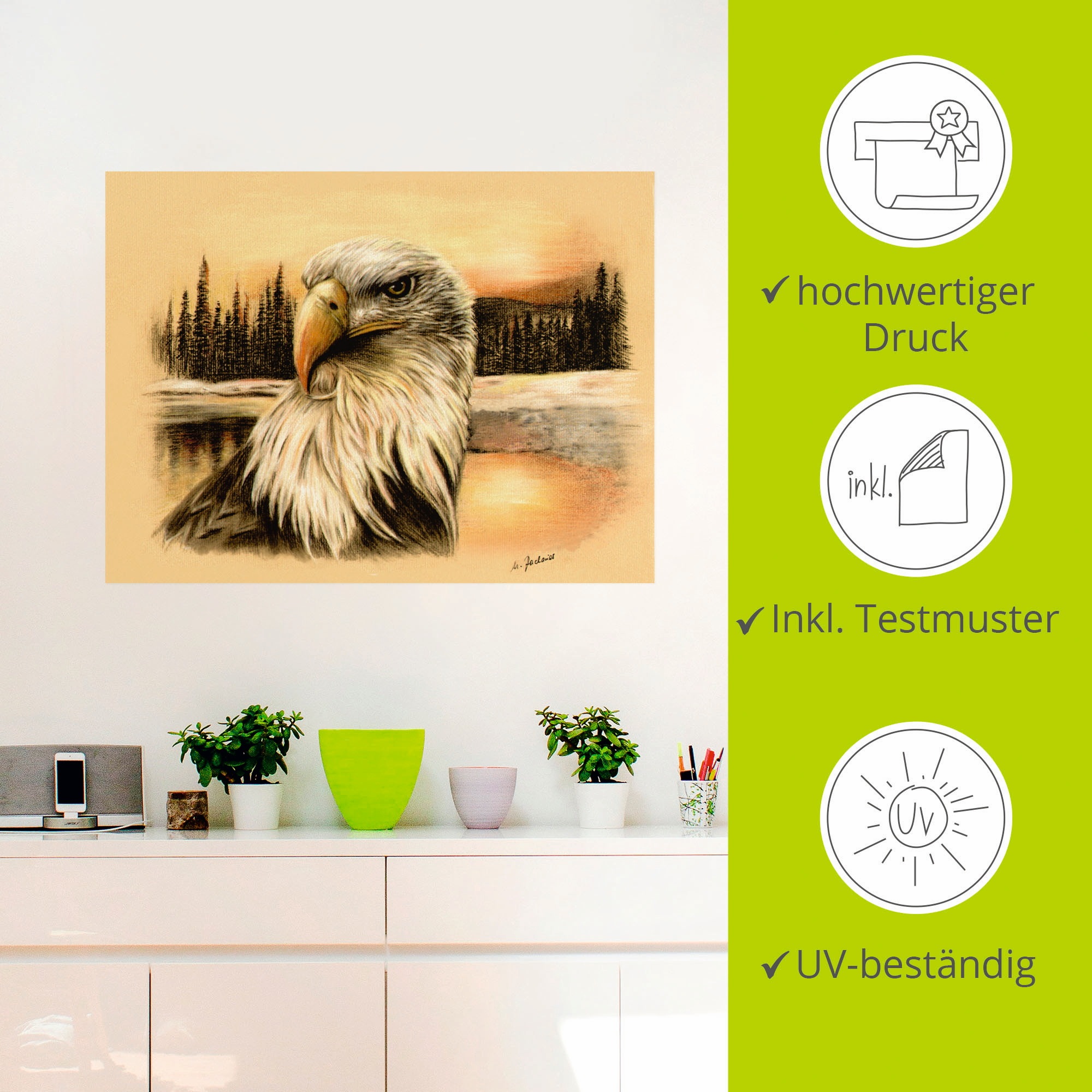 Artland Wandbild »Weißkopfseeadler handgemalt«, Vögel, (1 St.), als Alubild, Outdoorbild, Wandaufkleber in verschied. Größen