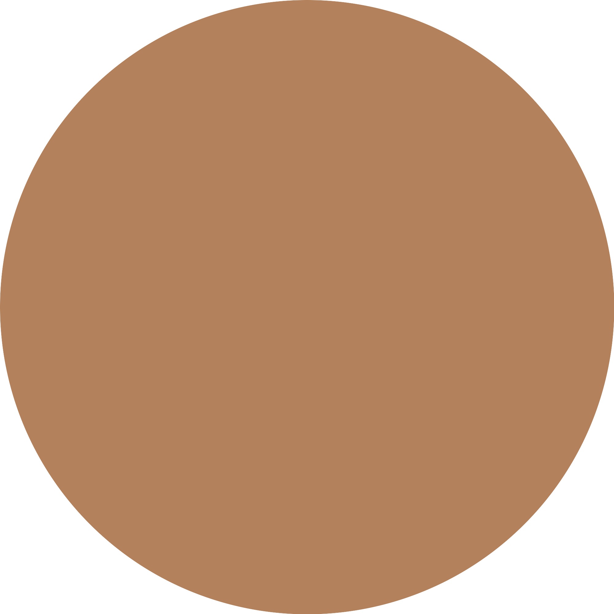 Catrice Foundation »Invisible Cover Cushion Foundation«