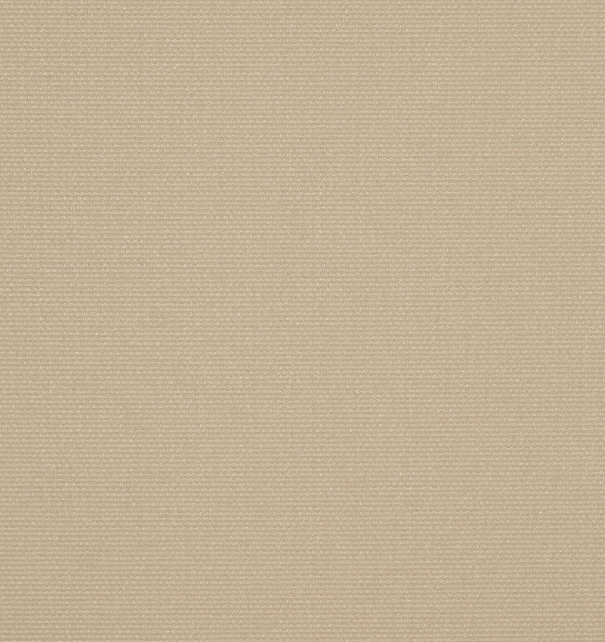 KONIFERA Seitenmarkise »Seitenarmmarkise«, BxH: 600x160 cm