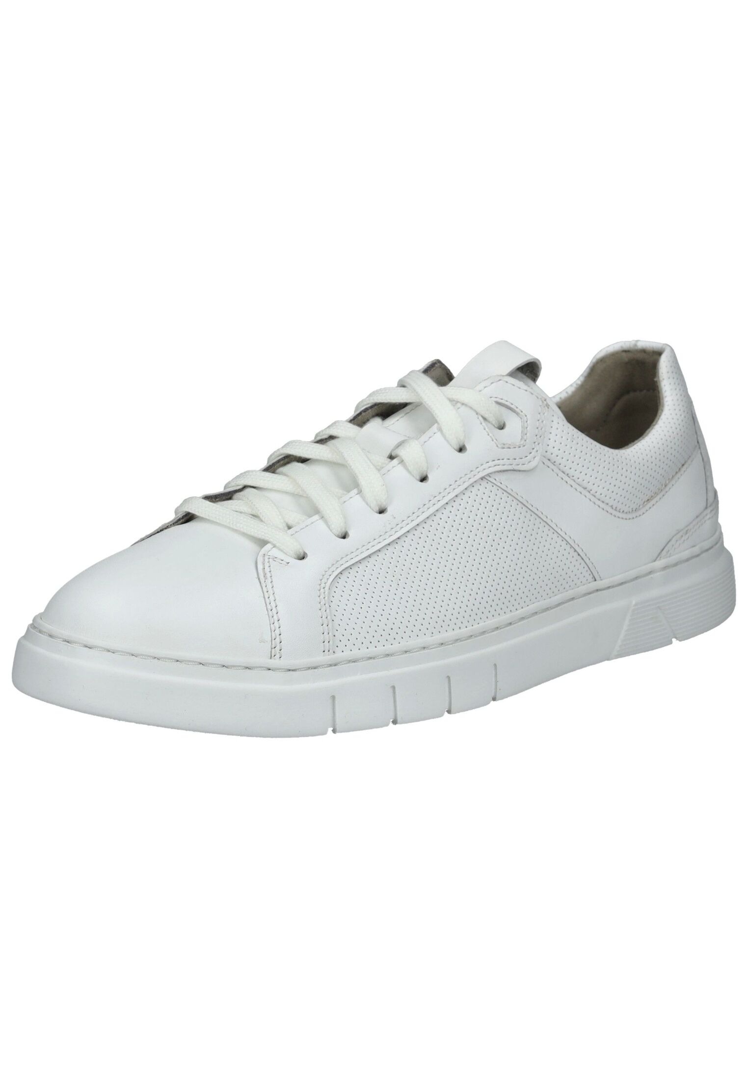 Pius Gabor Sneaker "Pius Gabor Sneaker Leder" günstig online kaufen