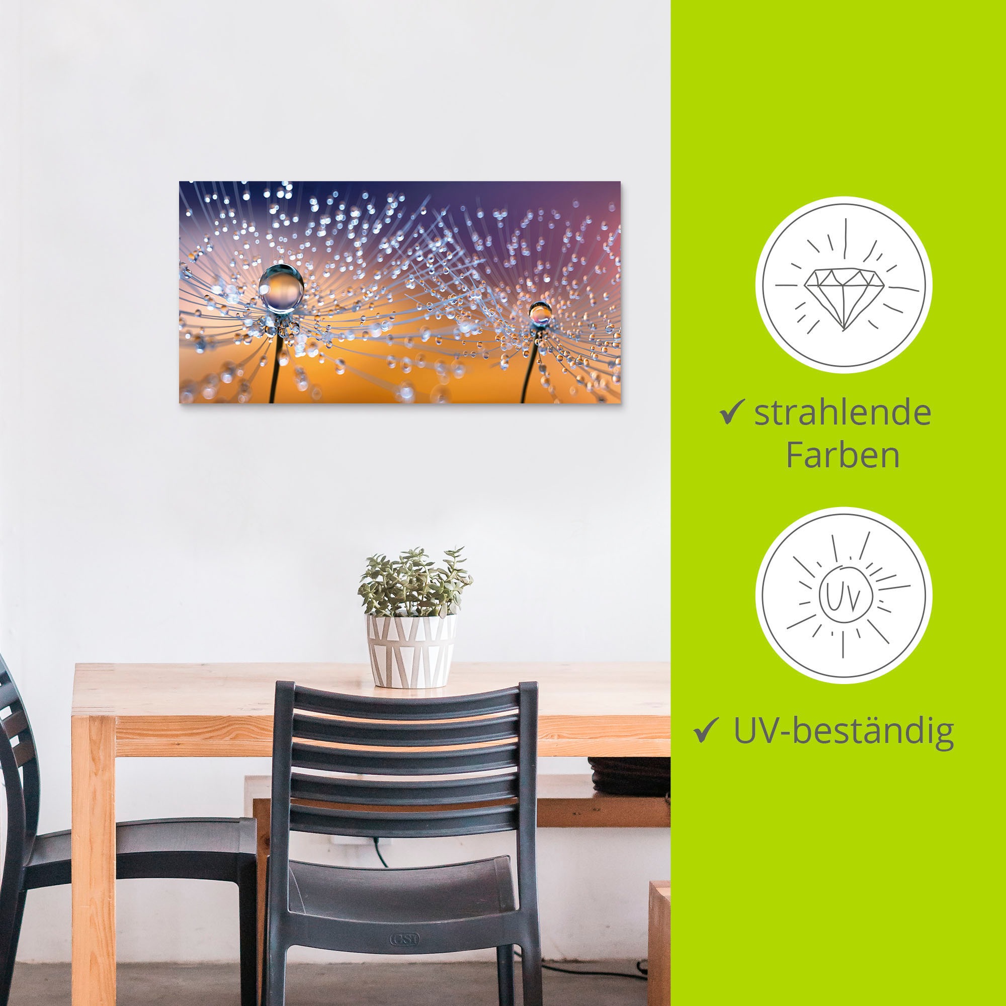 Artland Wandbild »Pusteblumen Tautropfen«, Blumenbilder, (1 St.), als Alubild, Outdoorbild, Leinwandbild, Poster, Wandaufkleber