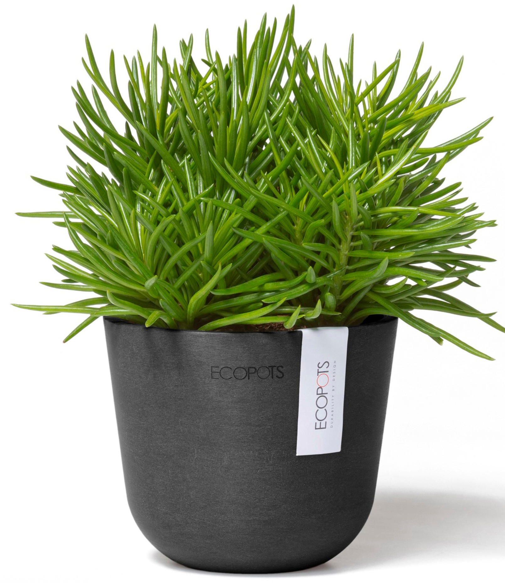 ECOPOTS Blumentopf »Oslo Mini 11,5 Dunkelgrau«, für den Innenbereich