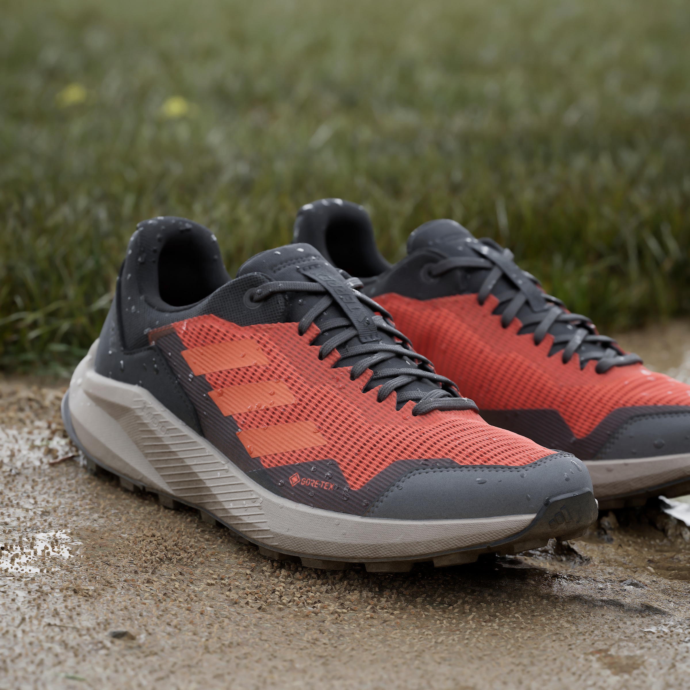 adidas TERREX Trailrunningschuh »TRAIL RIDER GORE-TEX TRAILRUNNING«, wasserdicht