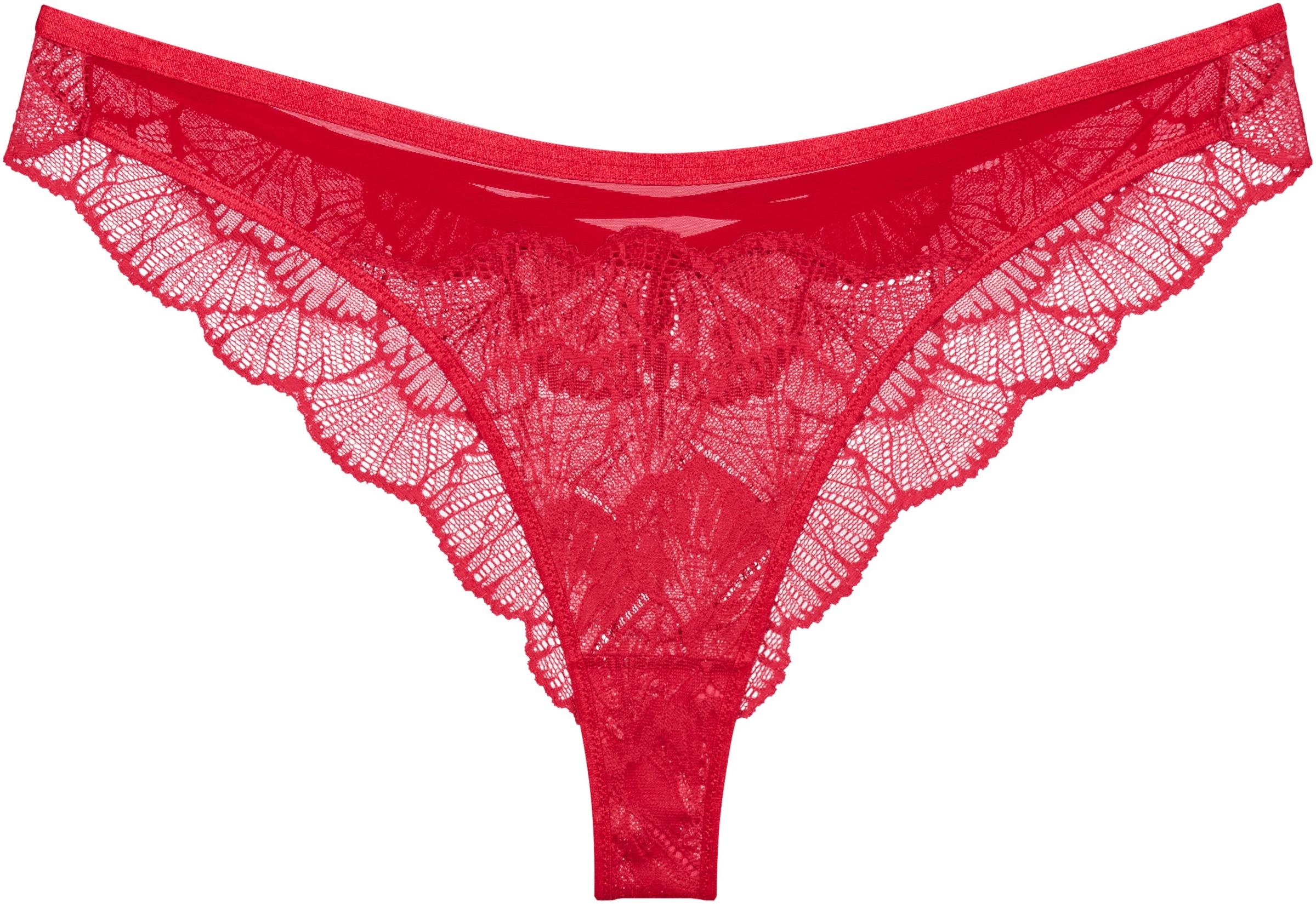 Triumph Brasilslip "Palina Moonlight Kiss", aus Spitze, V-Detail, elastisch günstig online kaufen
