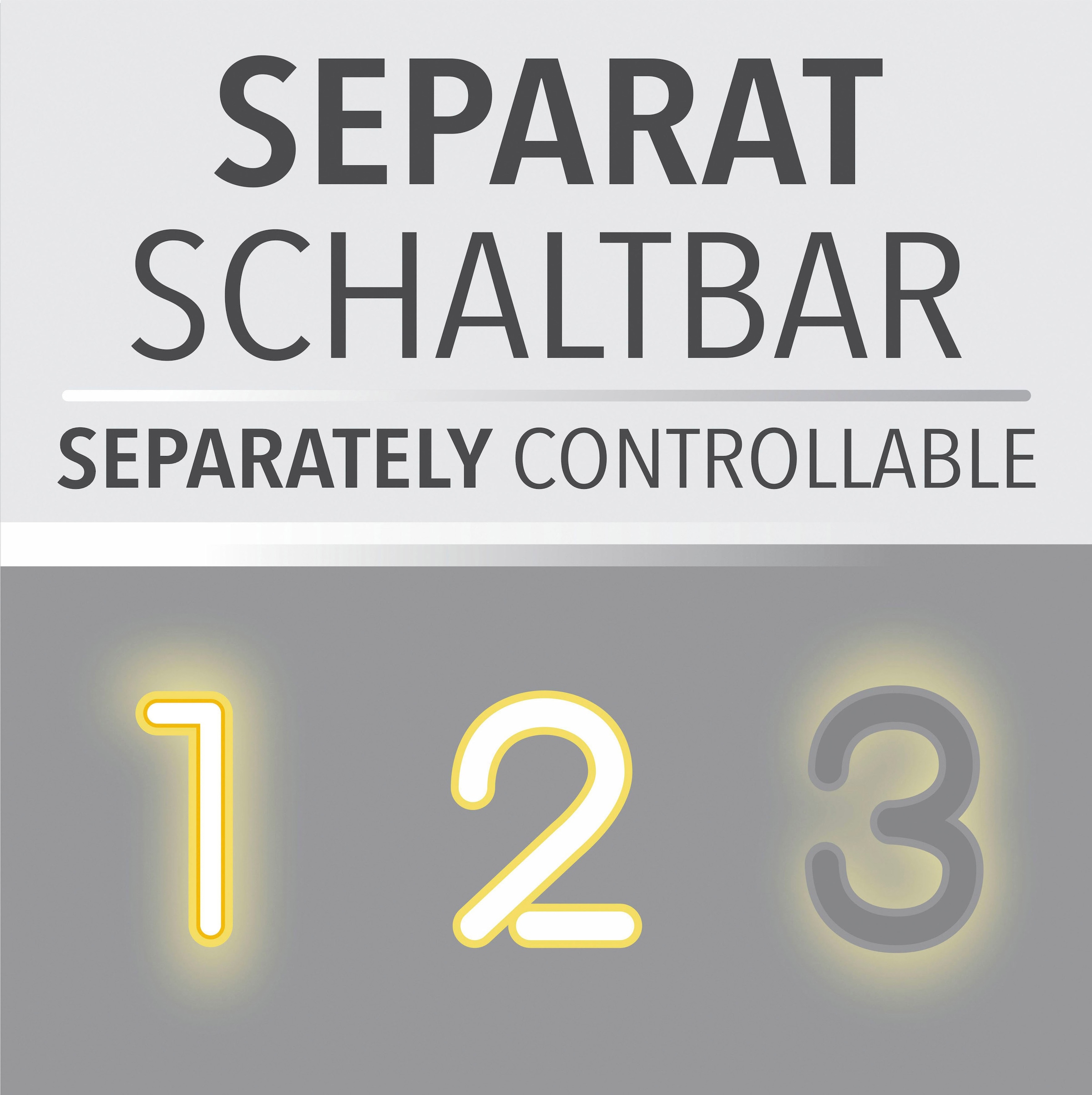 steuerbar LED, (Schalter) | Paul Neuhaus »MAILAK«, Deckenleuchte separat 2 flammig-flammig, BAUR