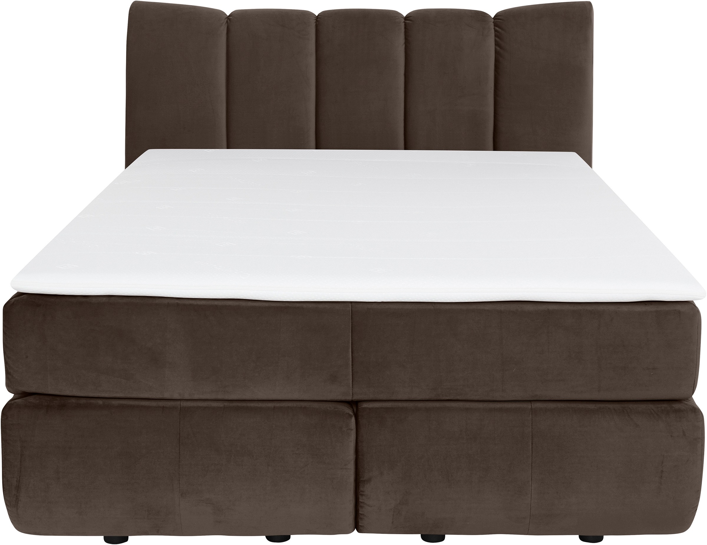 Home affaire Boxspringbett "Océane" Bodenfrei- wirkt freischwebend, verschi günstig online kaufen